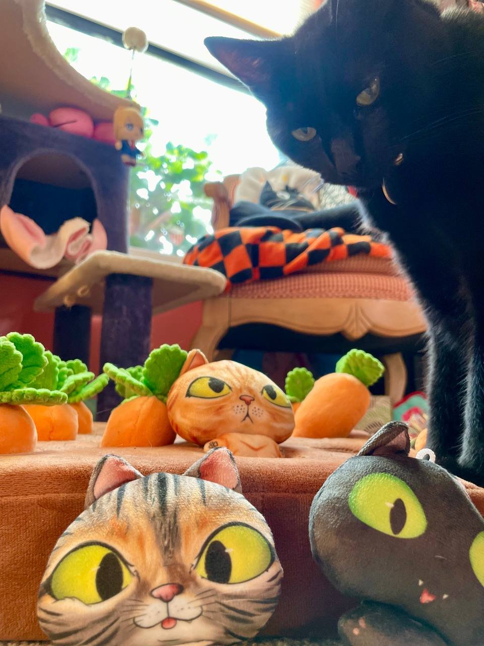 photo_2025-11-26 19.41.06.jpeg