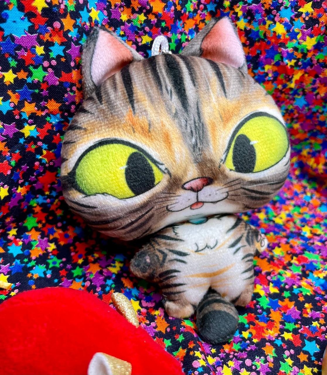 photo_2025-11-26 19.50.46.jpeg