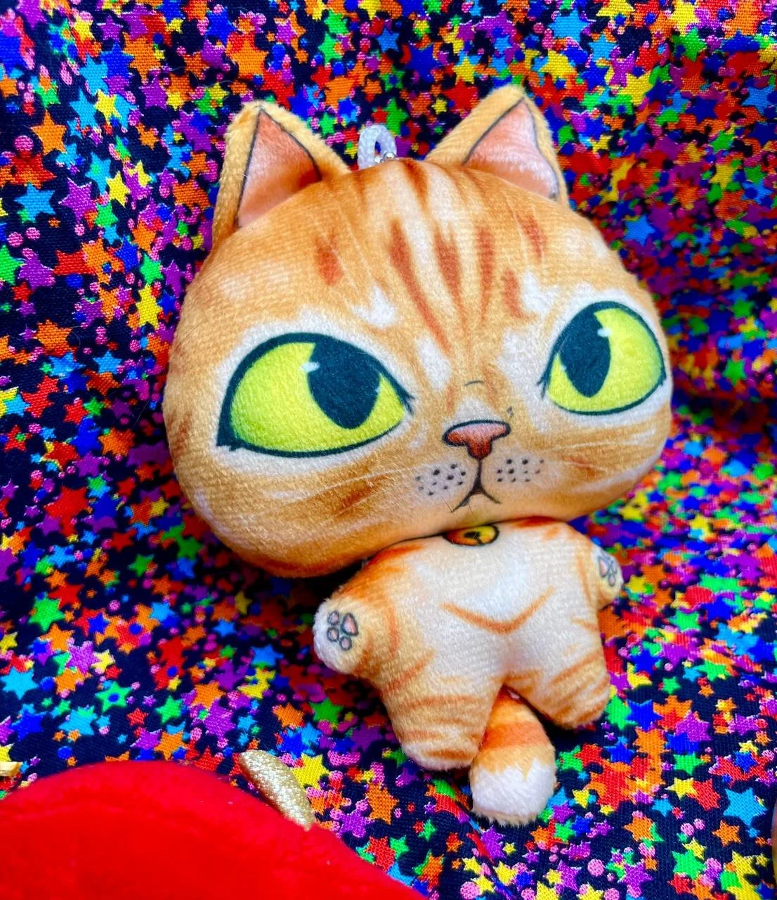 photo_2025-11-26 19.50.43.jpeg