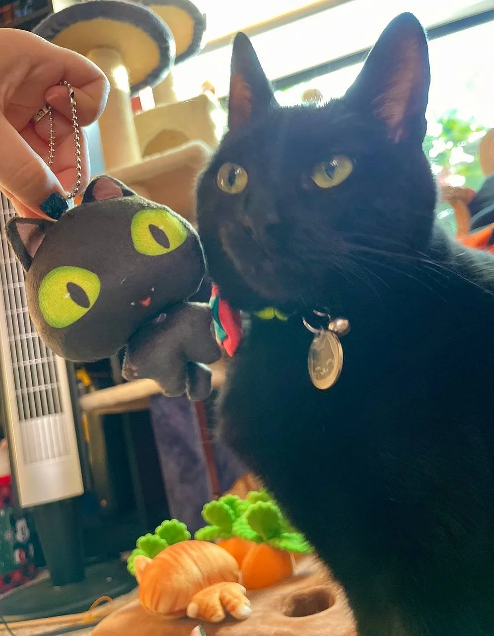 photo_2025-11-26 19.41.09.jpeg