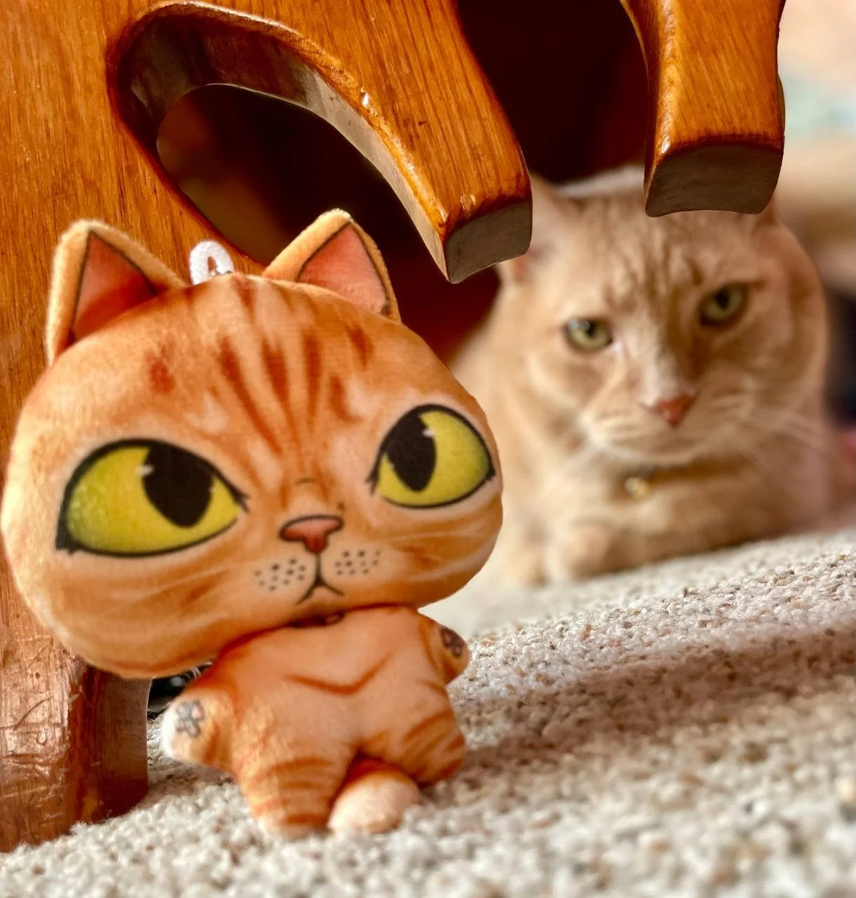 photo_2025-11-26 19.40.57.jpeg