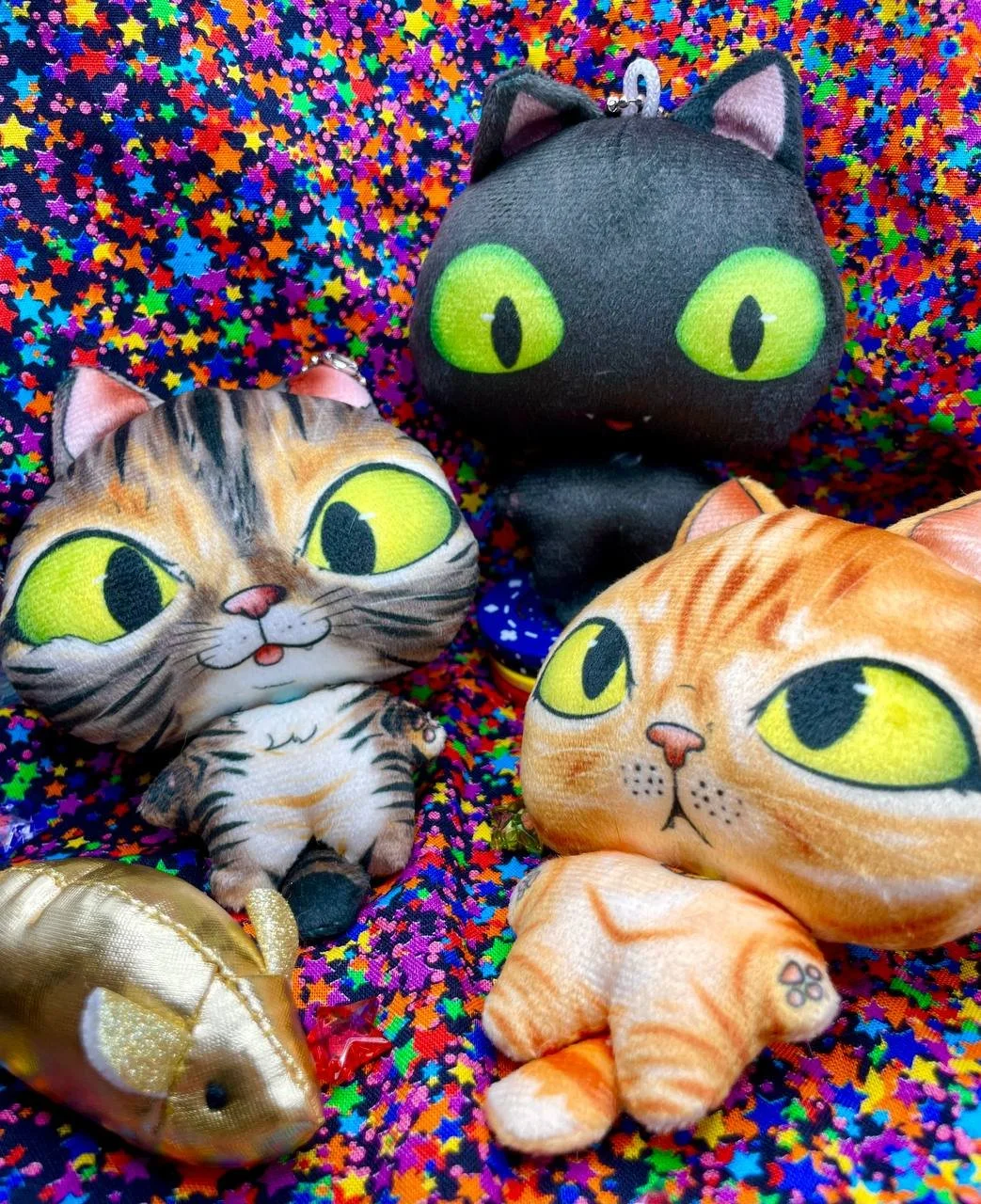 photo_2025-11-26 19.50.40.jpeg