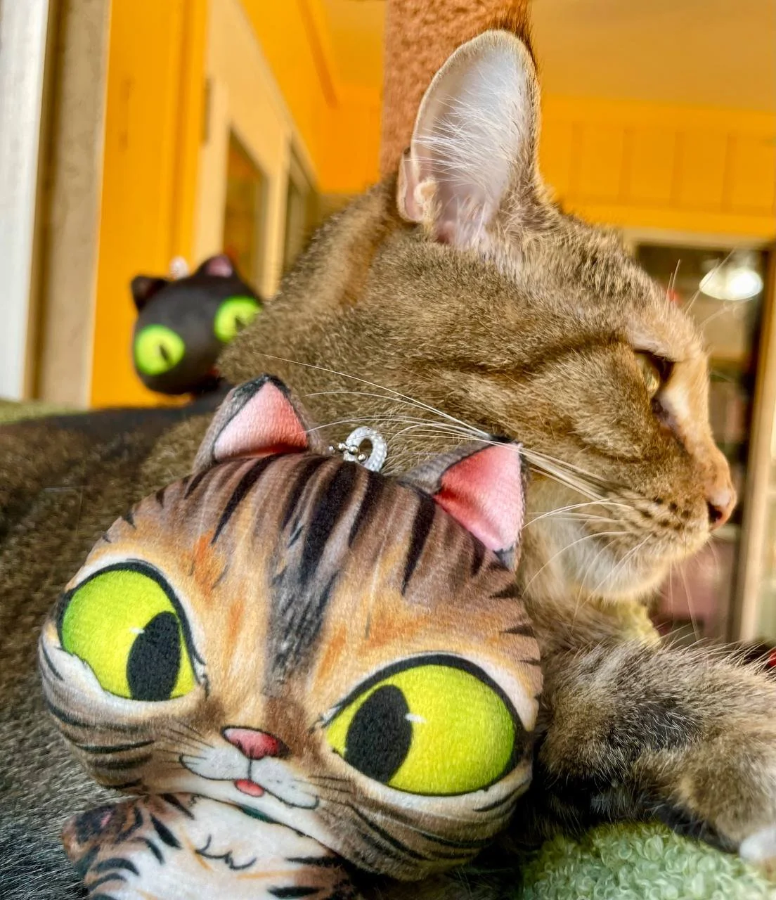 photo_2025-11-26 19.41.27.jpeg