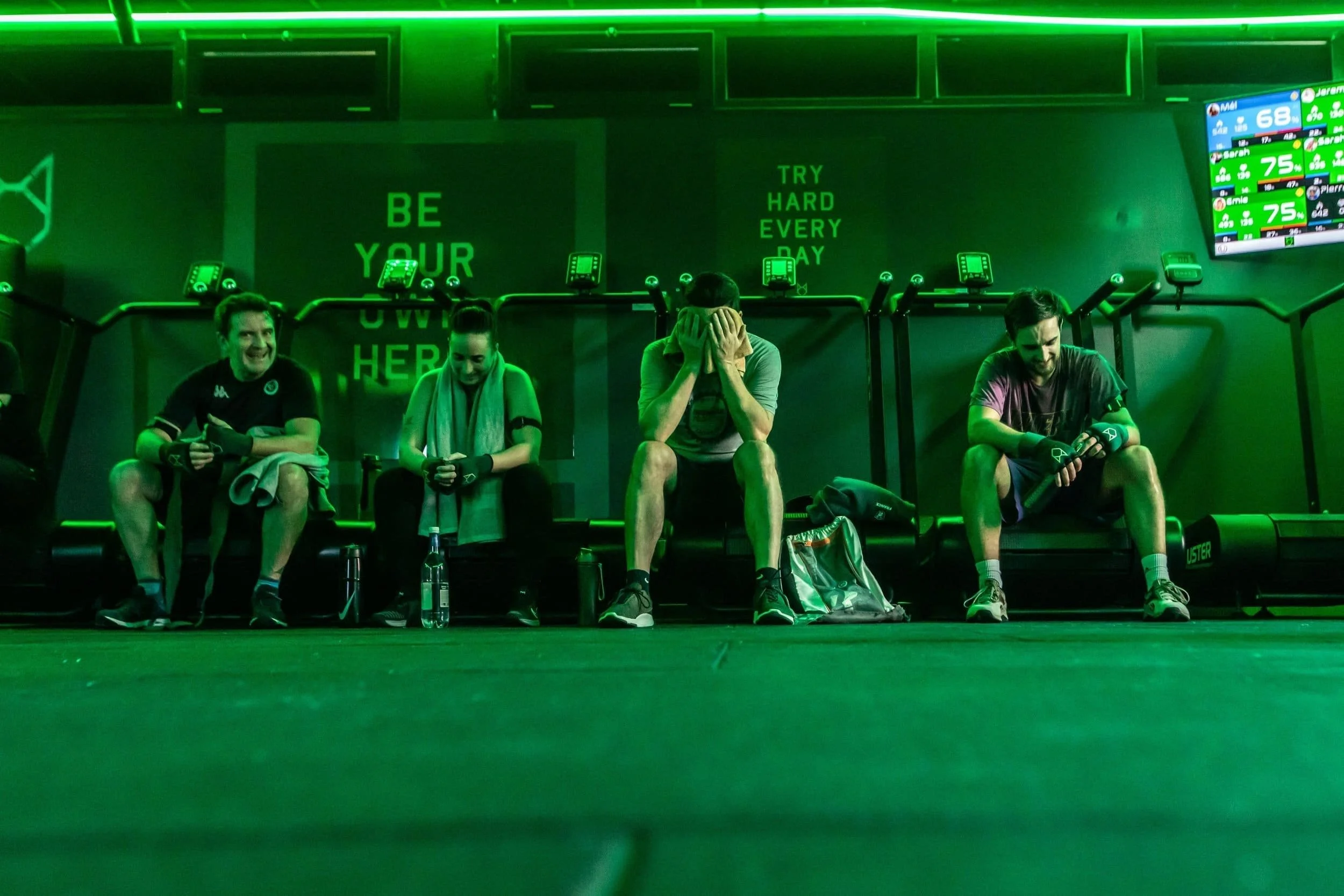 Team Building Fox Bootcamp