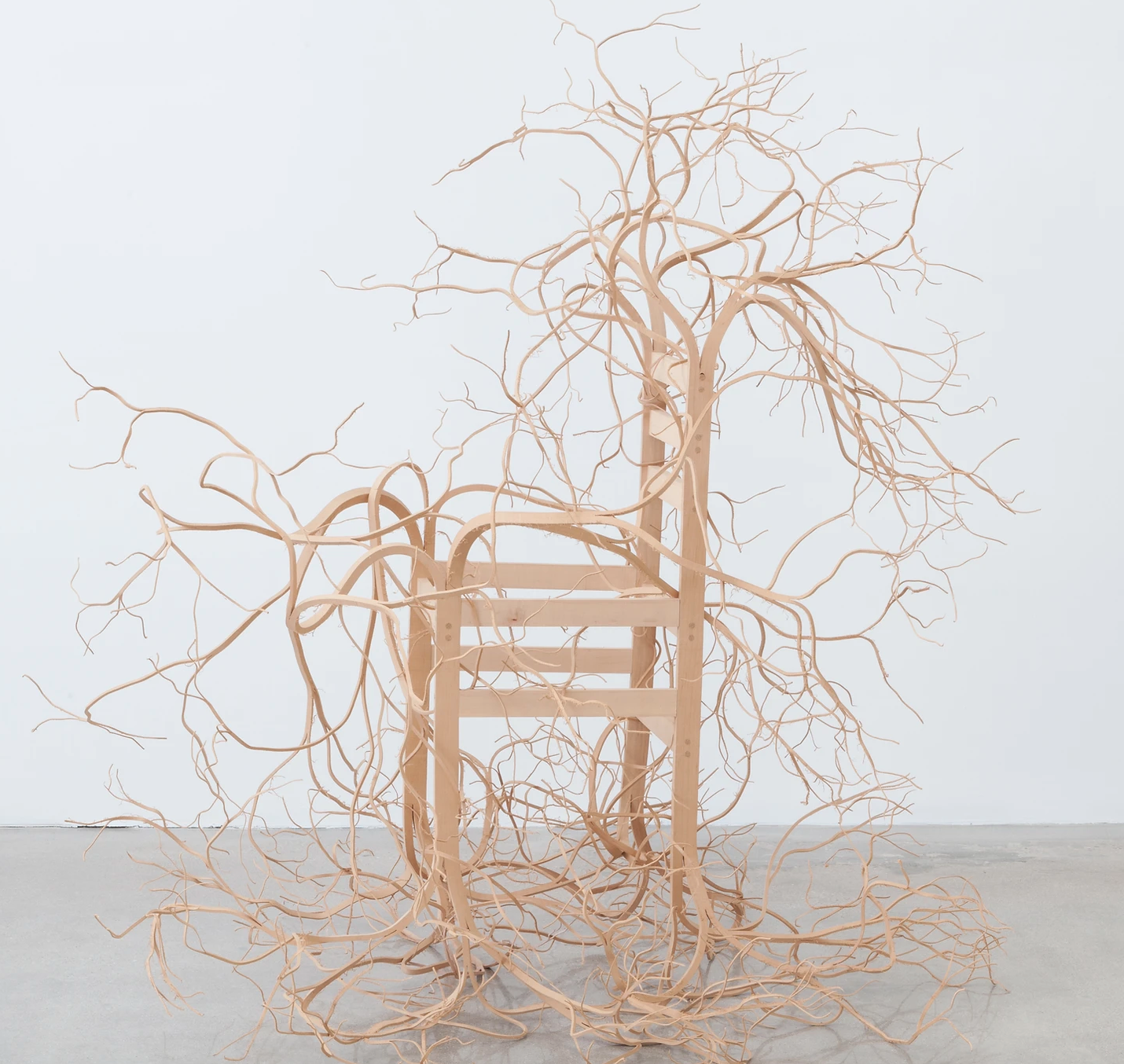 Screen Shot 2023-09-06 at 1.46.48 pm.png