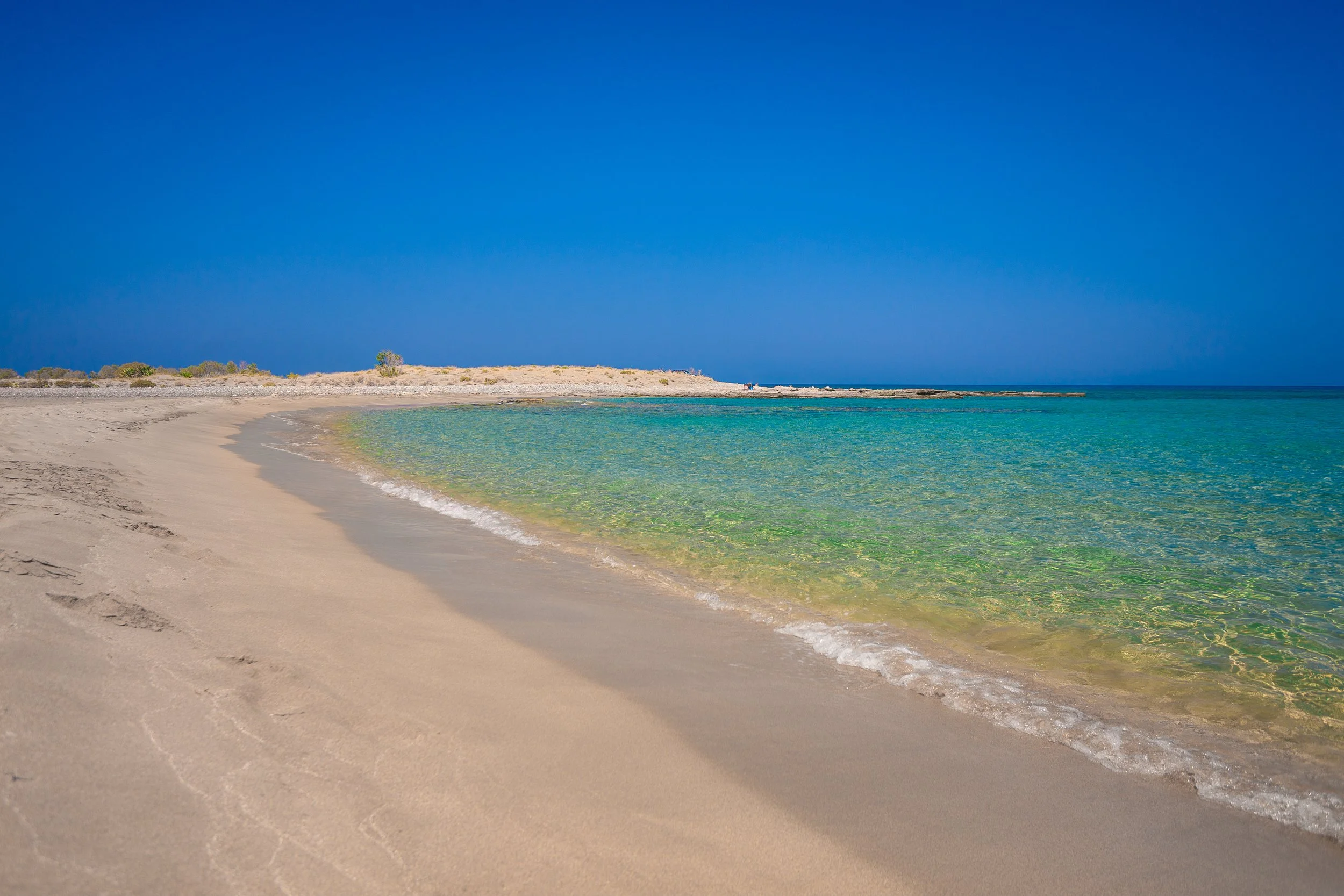 untitled-9688-Edit (1).jpg