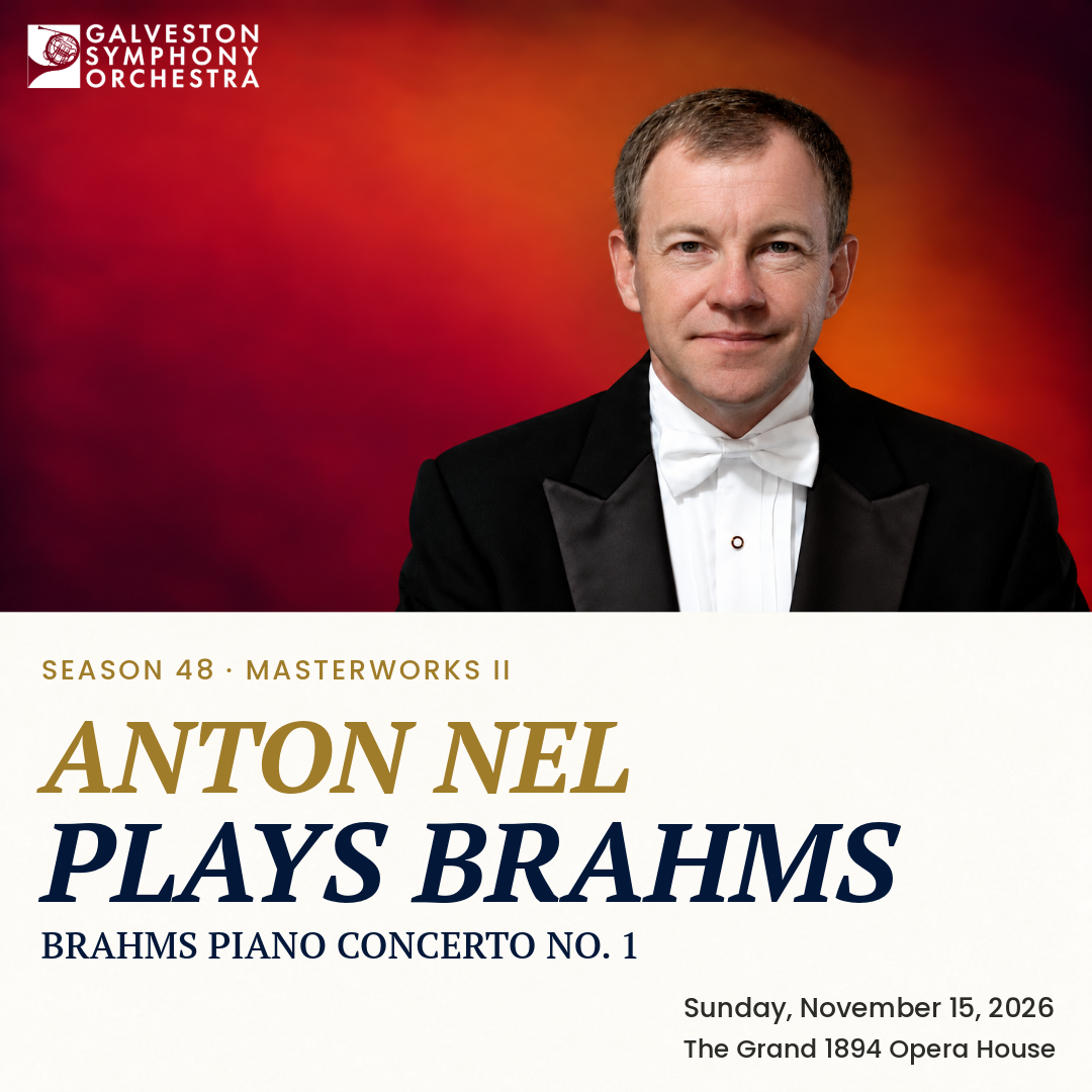Masterworks II: Anton Nel Plays Brahms