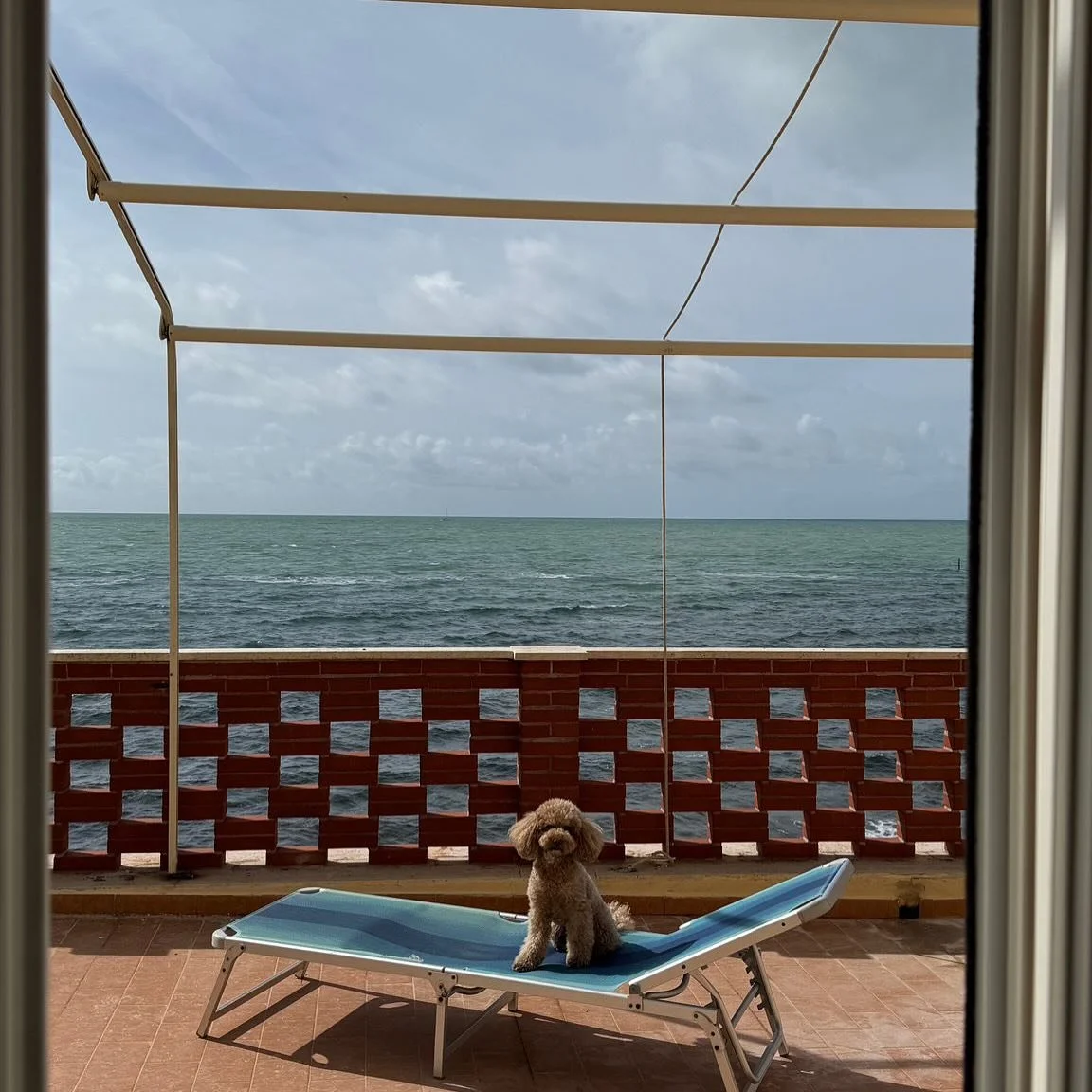 I mina f&ouml;rel&auml;sningar tar jag alltid upp vikten av att skriva ner och prata om det vi &auml;r tacksamma f&ouml;r. I v&auml;rlden som den ser ut m&aring;ste vi, f&ouml;r att orka, notera det d&auml;r ibland &rdquo;oviktiga&rdquo;. Jag gick ru