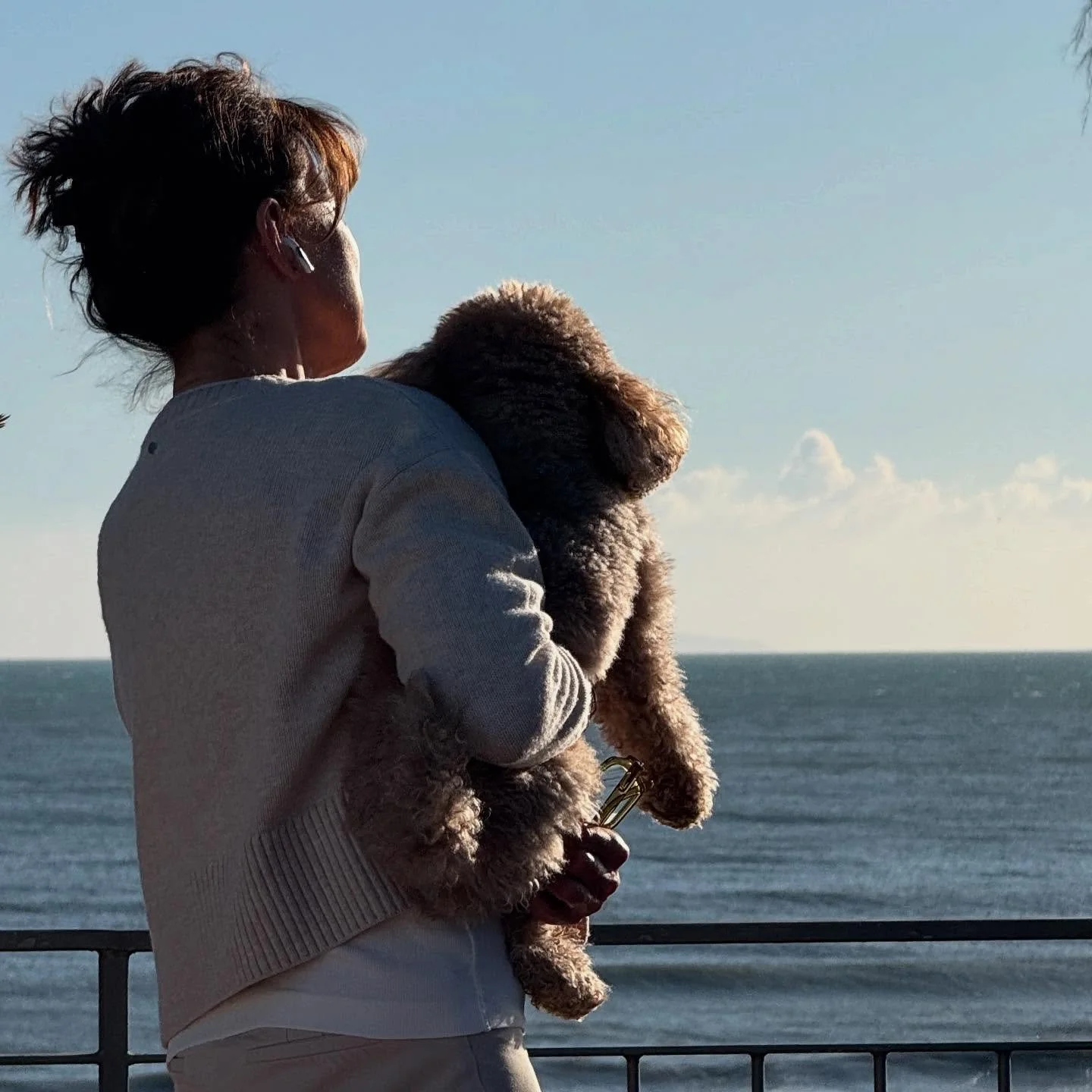 M&aring;nga bollar i luften precis som jag vill ha det. Nu finns romanen uppe f&ouml;r bevakning (l&auml;nk i bio) efter idogt arbete med manus i Italien f&ouml;rra m&aring;naden.