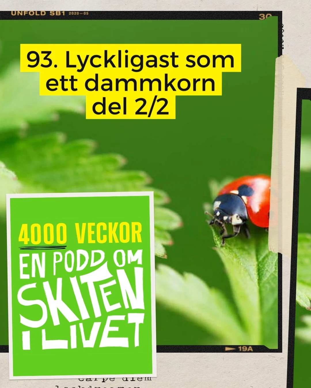 Forts&auml;ttning! N&auml;r man tror att alla ALLA kollar p&aring; mig s&aring; tar man ofta allt v&auml;ldigt personligt och det kan vara oerh&ouml;rt tr&ouml;ttsamt och fantastiskt jobbigt. Hur g&ouml;r man med n&aring;gon som tar allt personligt, 