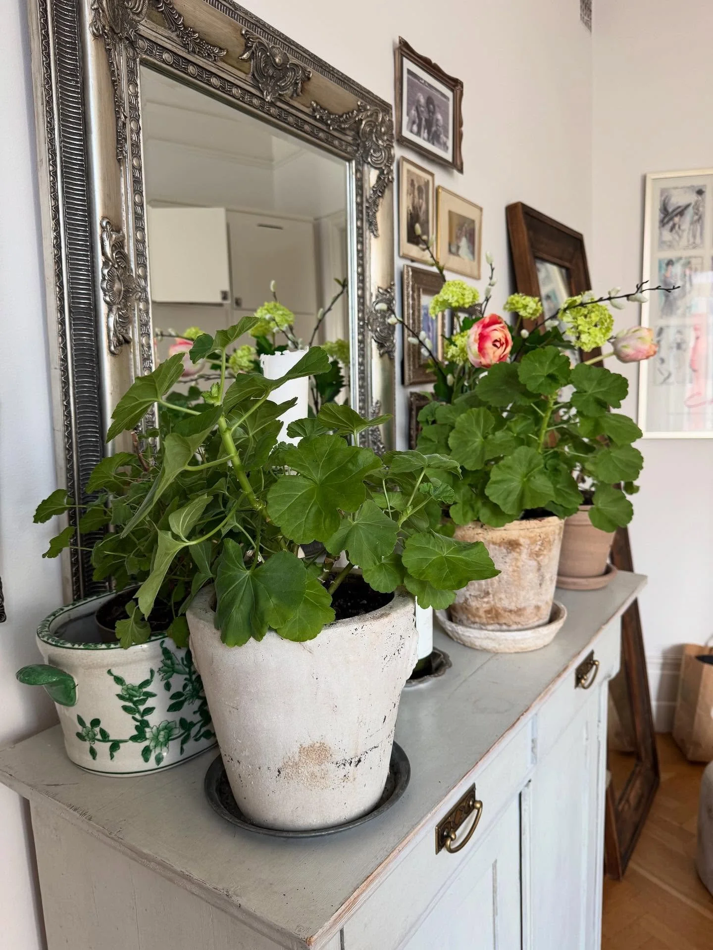 Jag blev s&aring; himla glad n&auml;r jag l&auml;ste om studien &hellip; &ouml;ver besluten jag har fattat genom olika faser i livet f&ouml;r jag har INGEN i min n&auml;rmaste omgivning som &auml;r en &rdquo;hassler&rdquo; en s&aring;n som &auml;r be