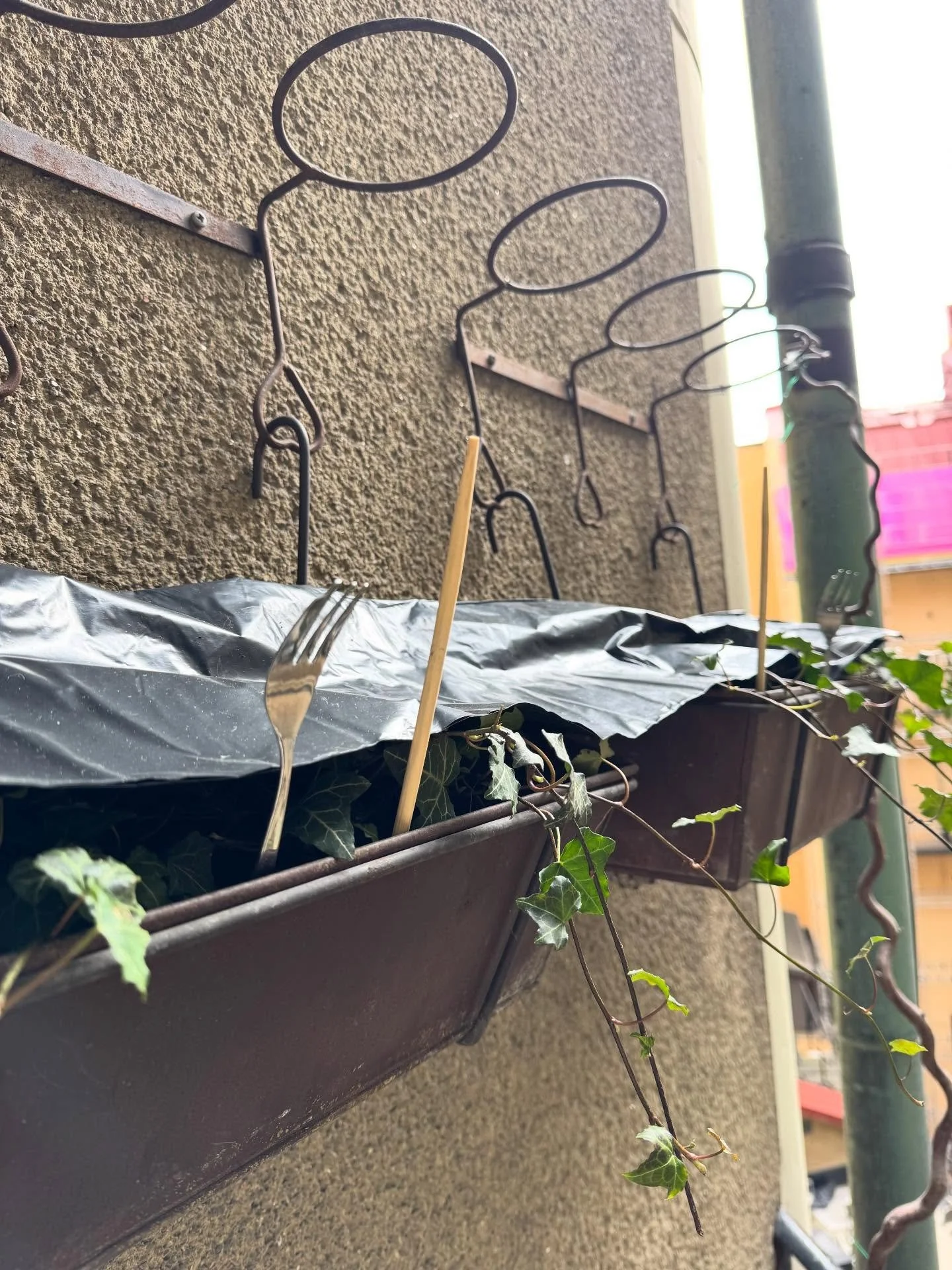 Det &auml;r tyv&auml;rr lite l&aring;gintensivt krig h&auml;r mellan mig och duvorna. Autocorrect f&ouml;reslog &rdquo;divorna&rdquo;. Inte helt fel. De kommer varje morgon och l&auml;gger sig i min murgr&ouml;na och f&ouml;rl&aring;t men ni kan inte