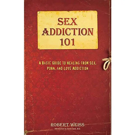 Sex Addiction 101: A Basic Guide to Healing from Sex, Porn, and Love Addiction Book Cover