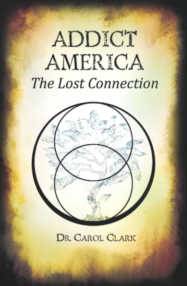 Addict America: The Lost Connection Book Cover
