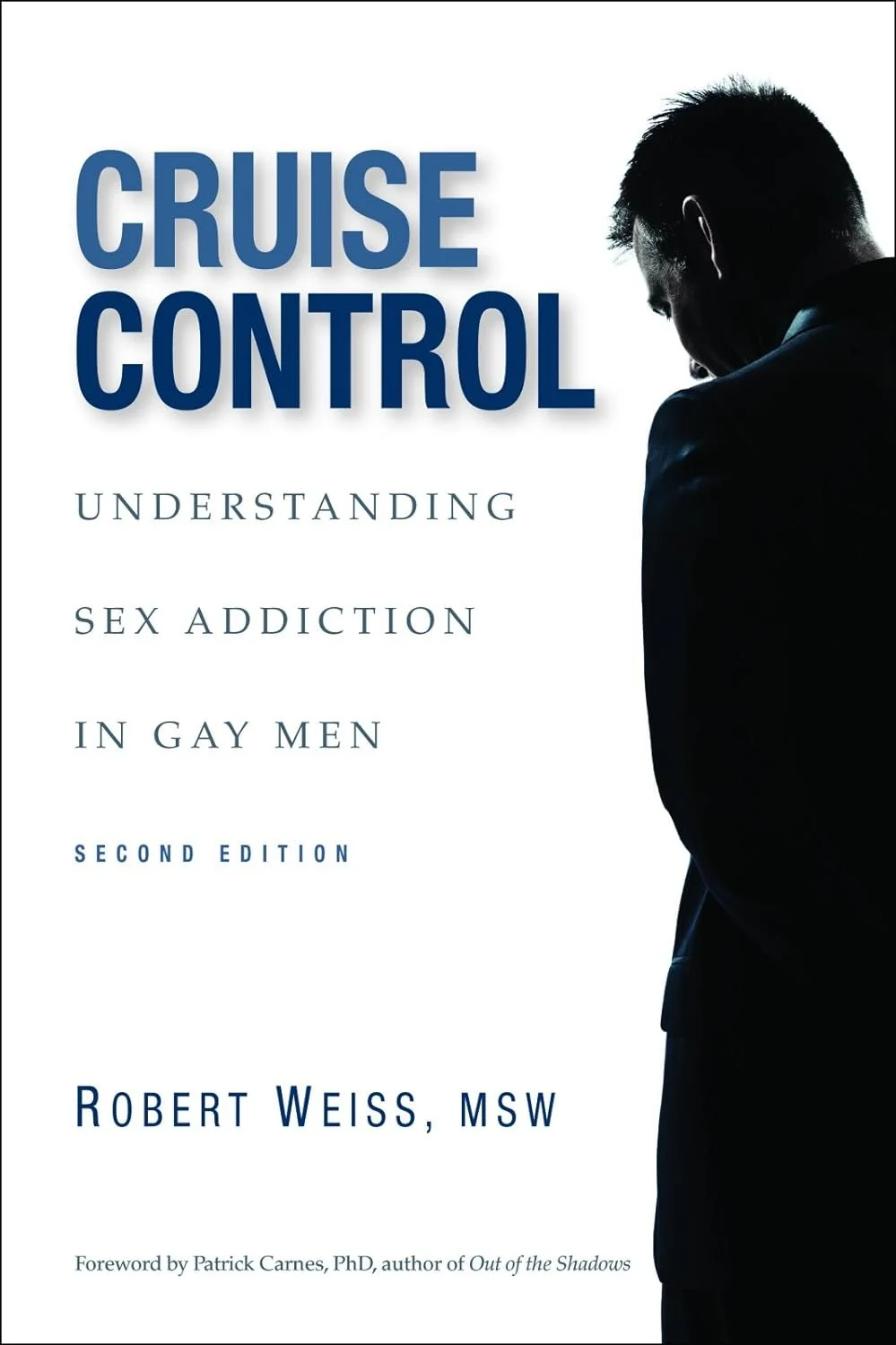 Cruise Control: Understanding Sex Addiction in Gay Men Book Cover