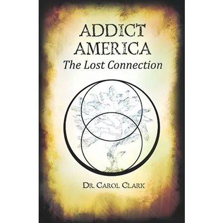 Addict America: The Lost Connection Book Cover