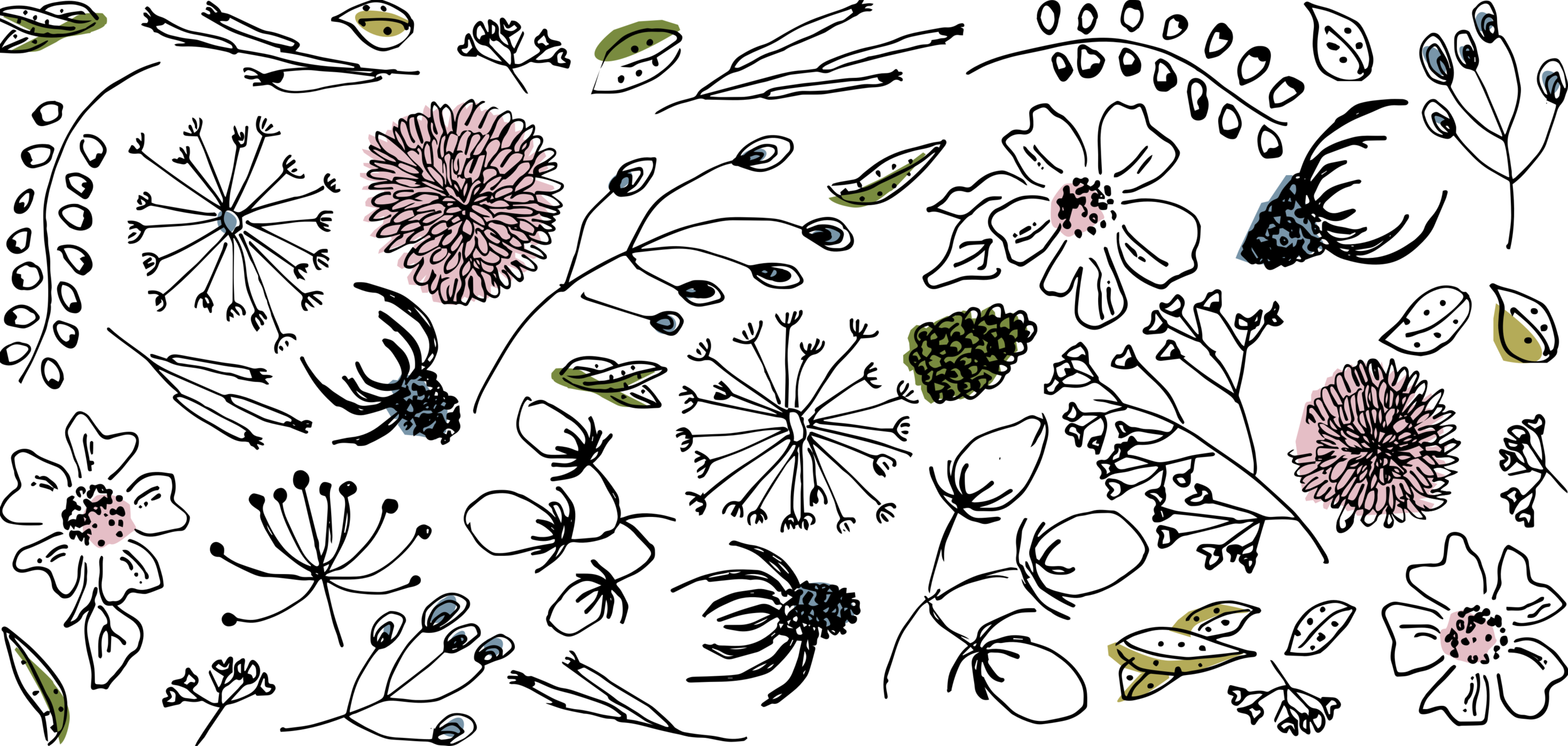 image-asset-7.png