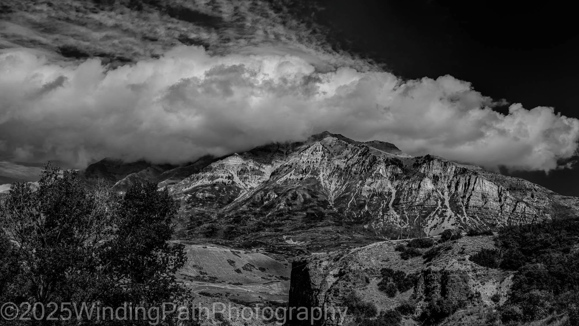 Canyon Park (1 of 1).jpg