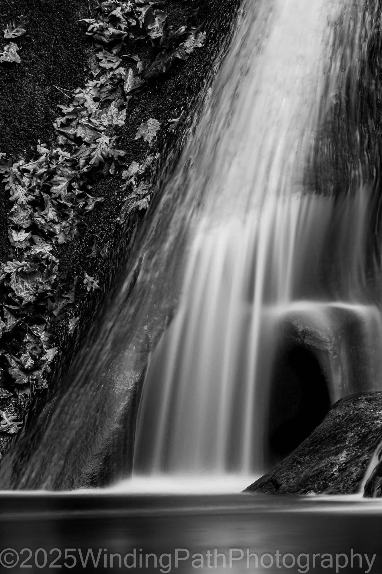 Widows Creek Falls (1 of 1).jpg