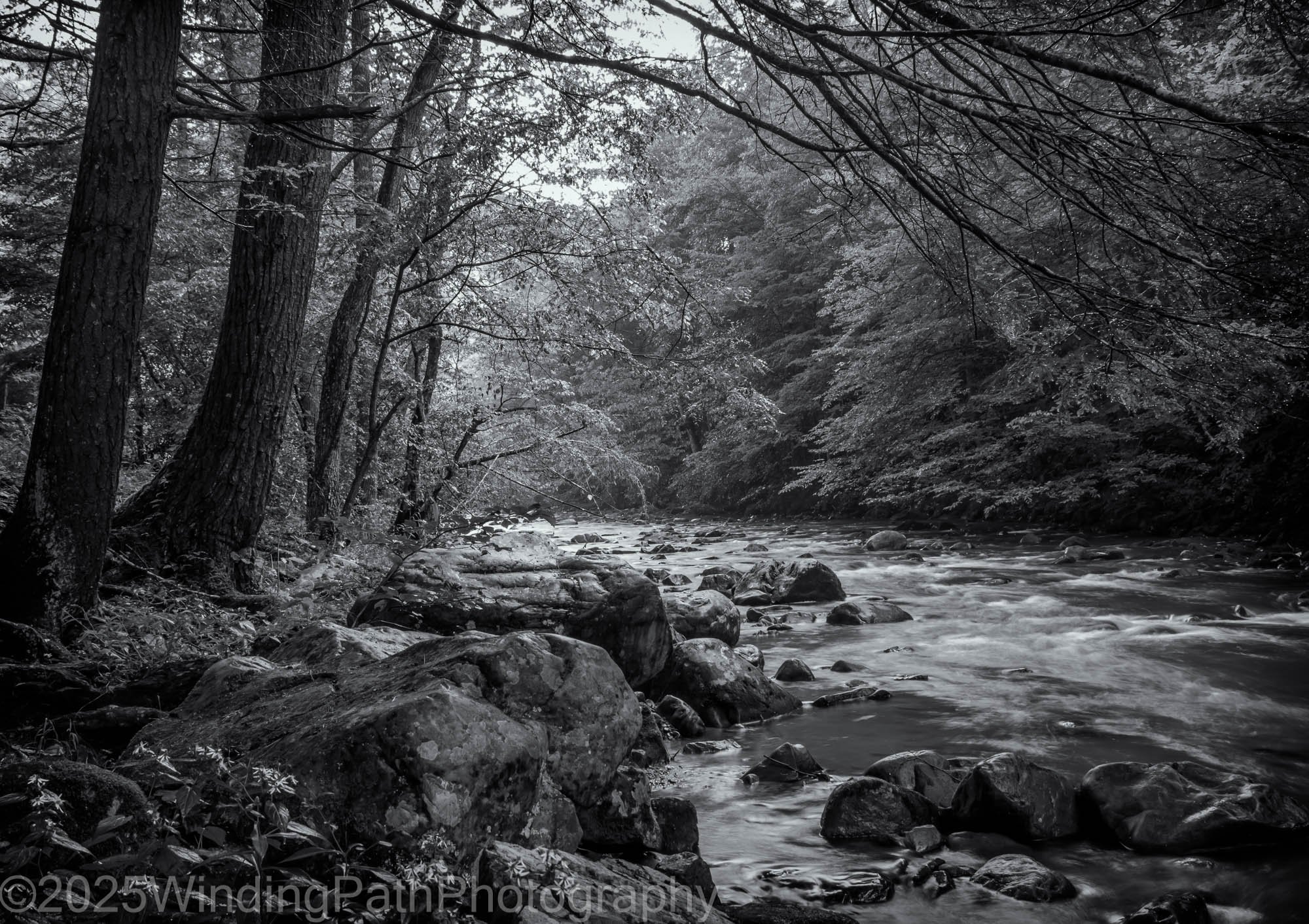 Whitetop Laural Creek (1 of 1).jpg