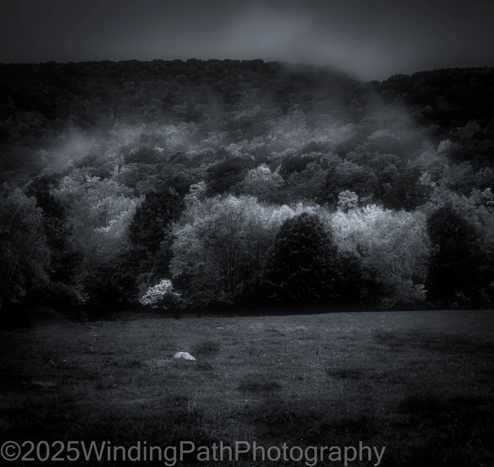 Laural Valley (1 of 1).jpg