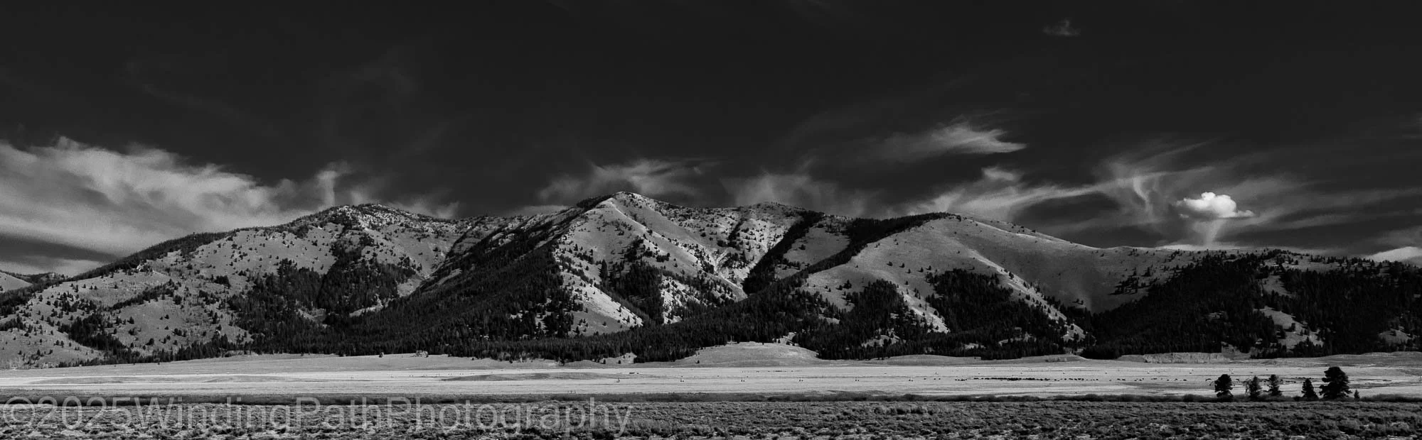 Rt 75 Idaho (1 of 1).jpg