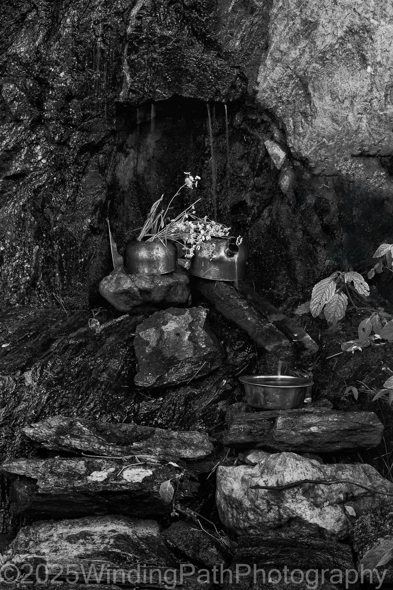 Wet Pots (1 of 1).jpg