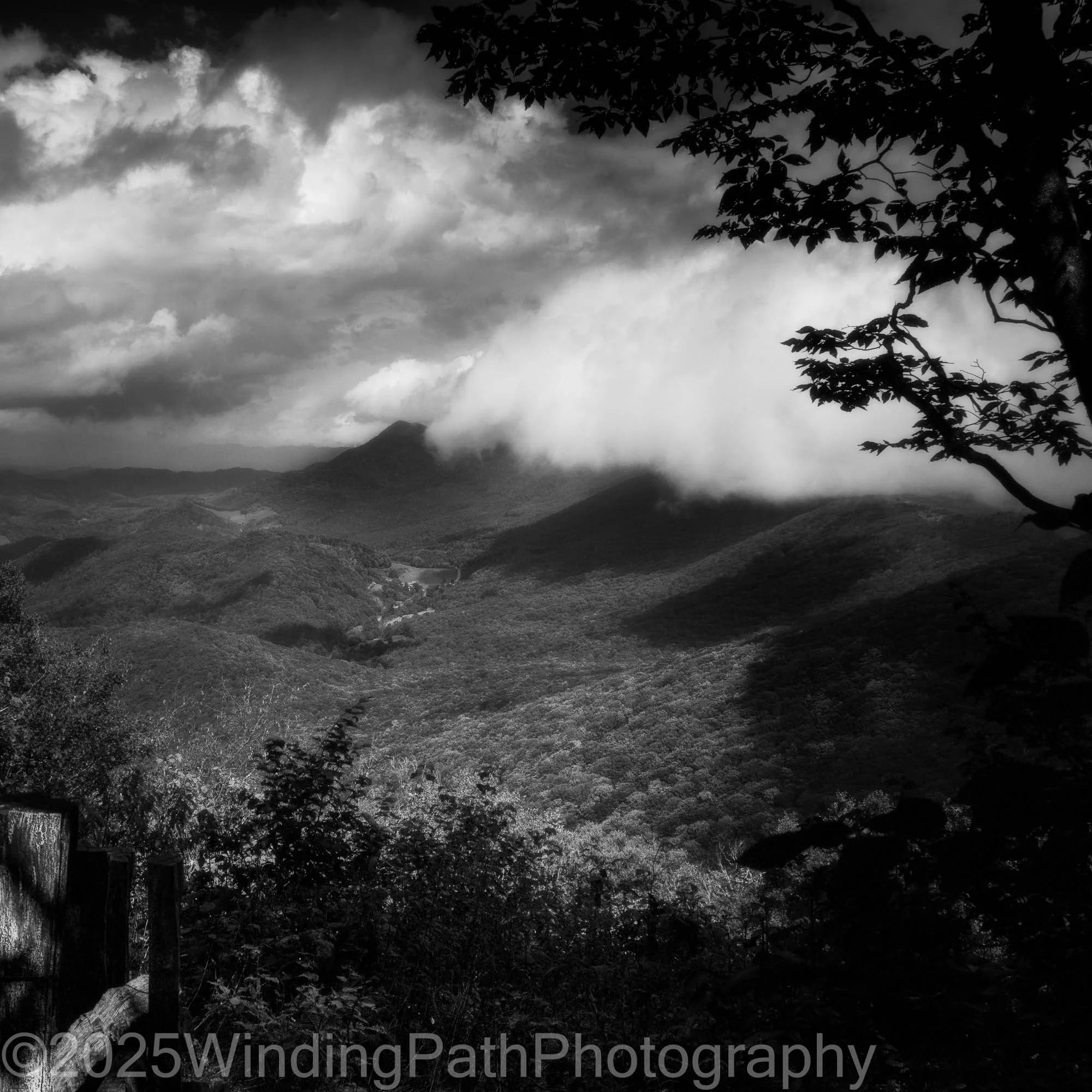 Elk Knob (1 of 1).jpg