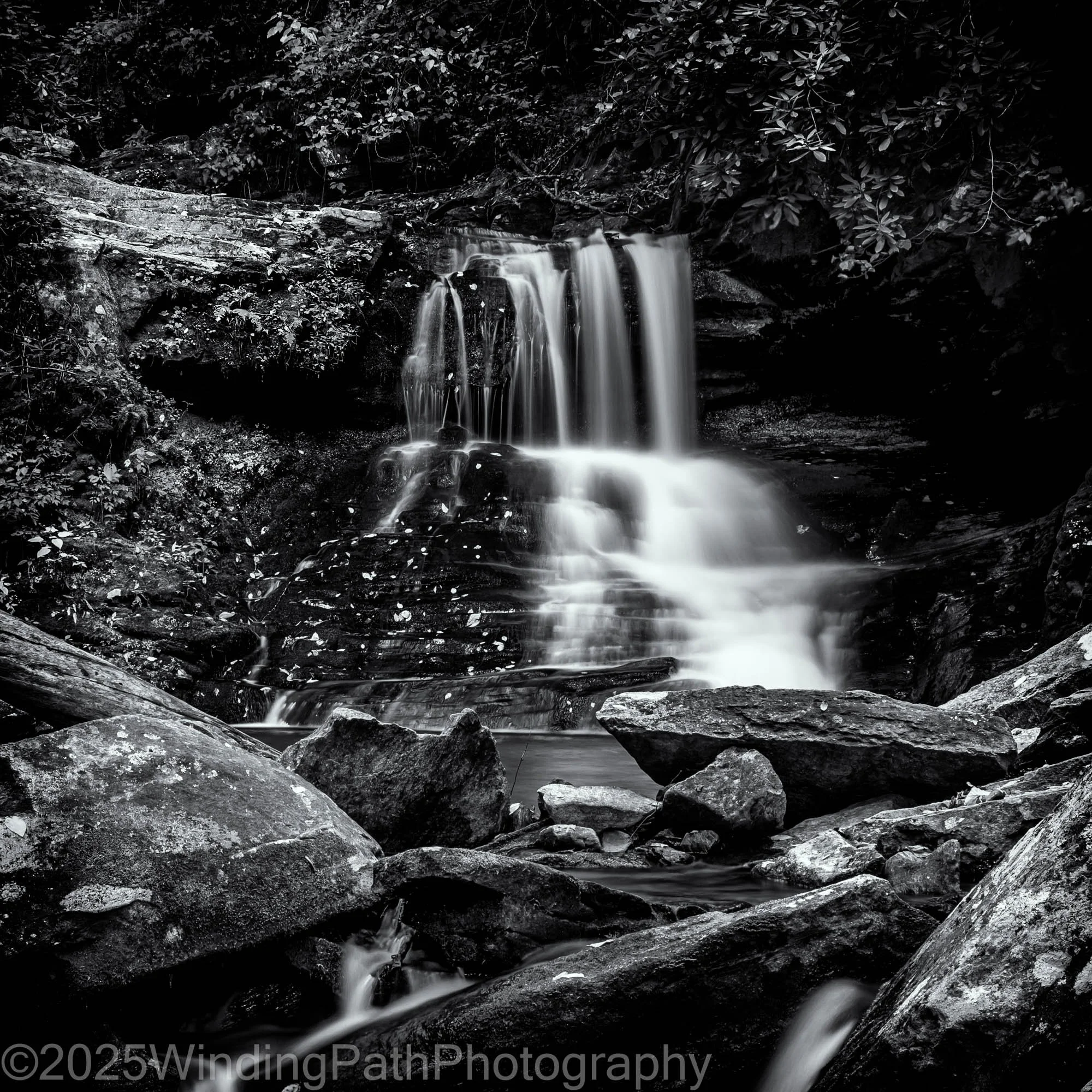 Pisgah Waterfall Lower (1 of 1).jpg