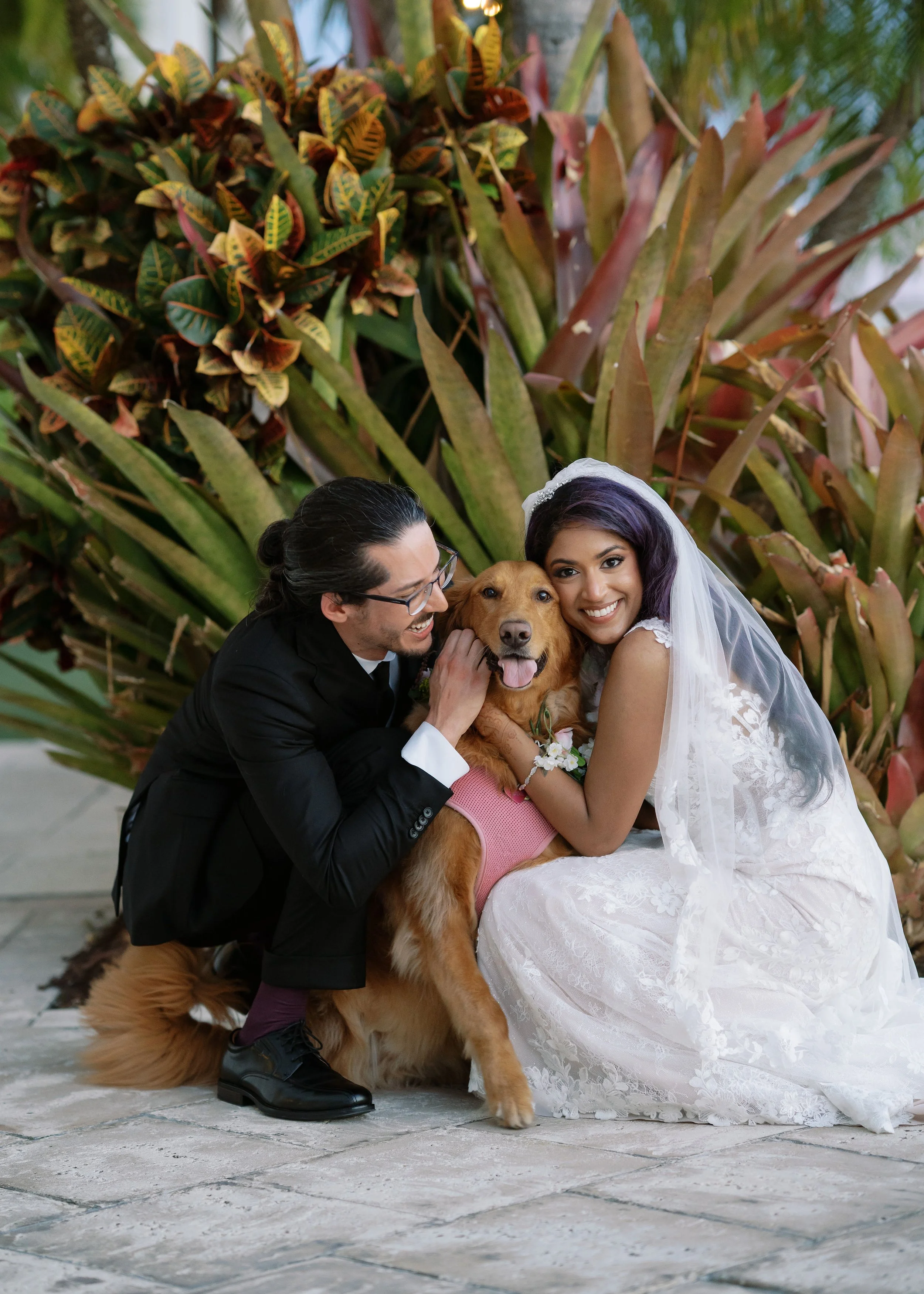 A wedding couple with a dog, posing outdoors in front of large plants, smiling and showing affection.