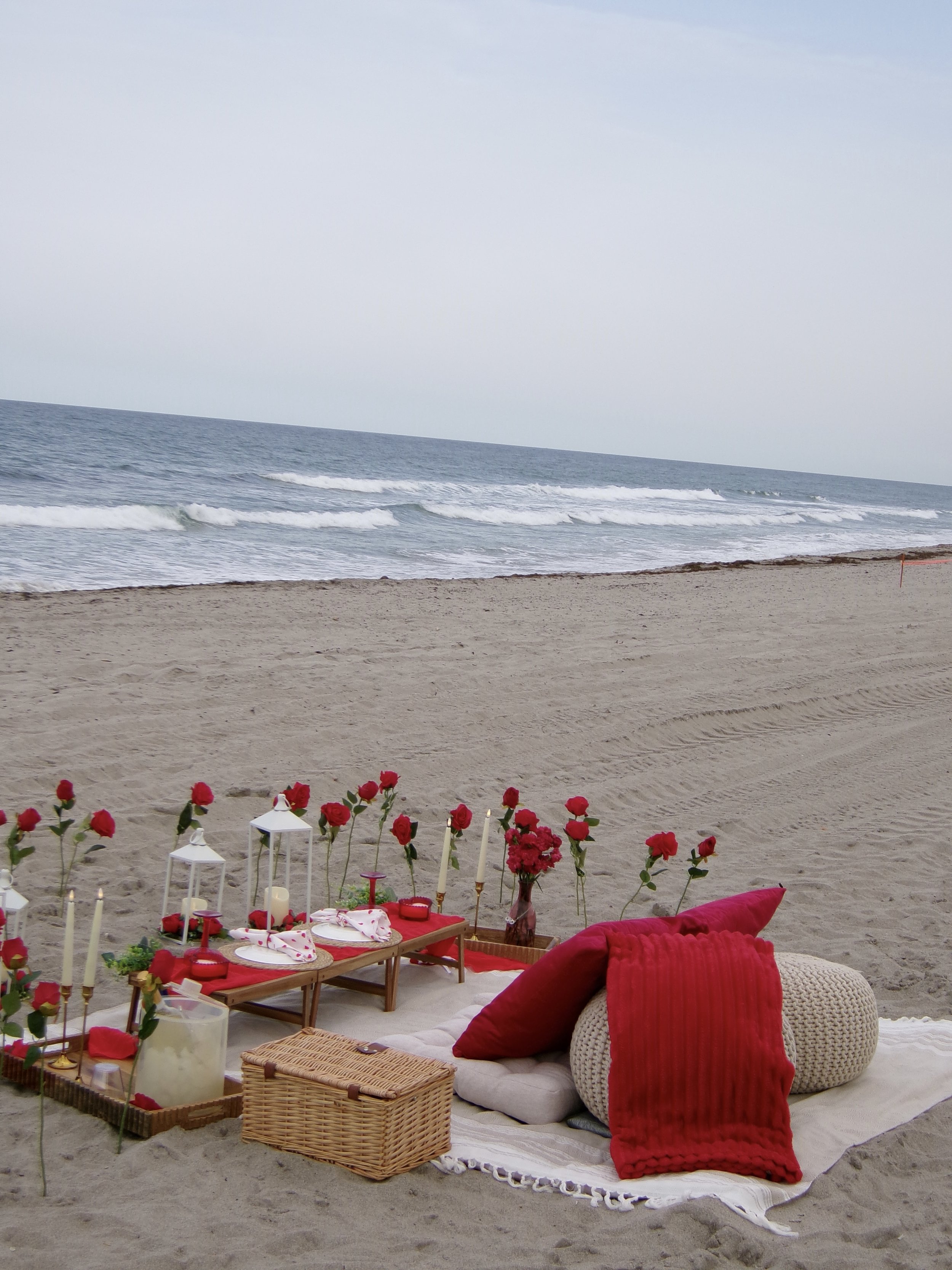 luxury picnic party planner south Florida