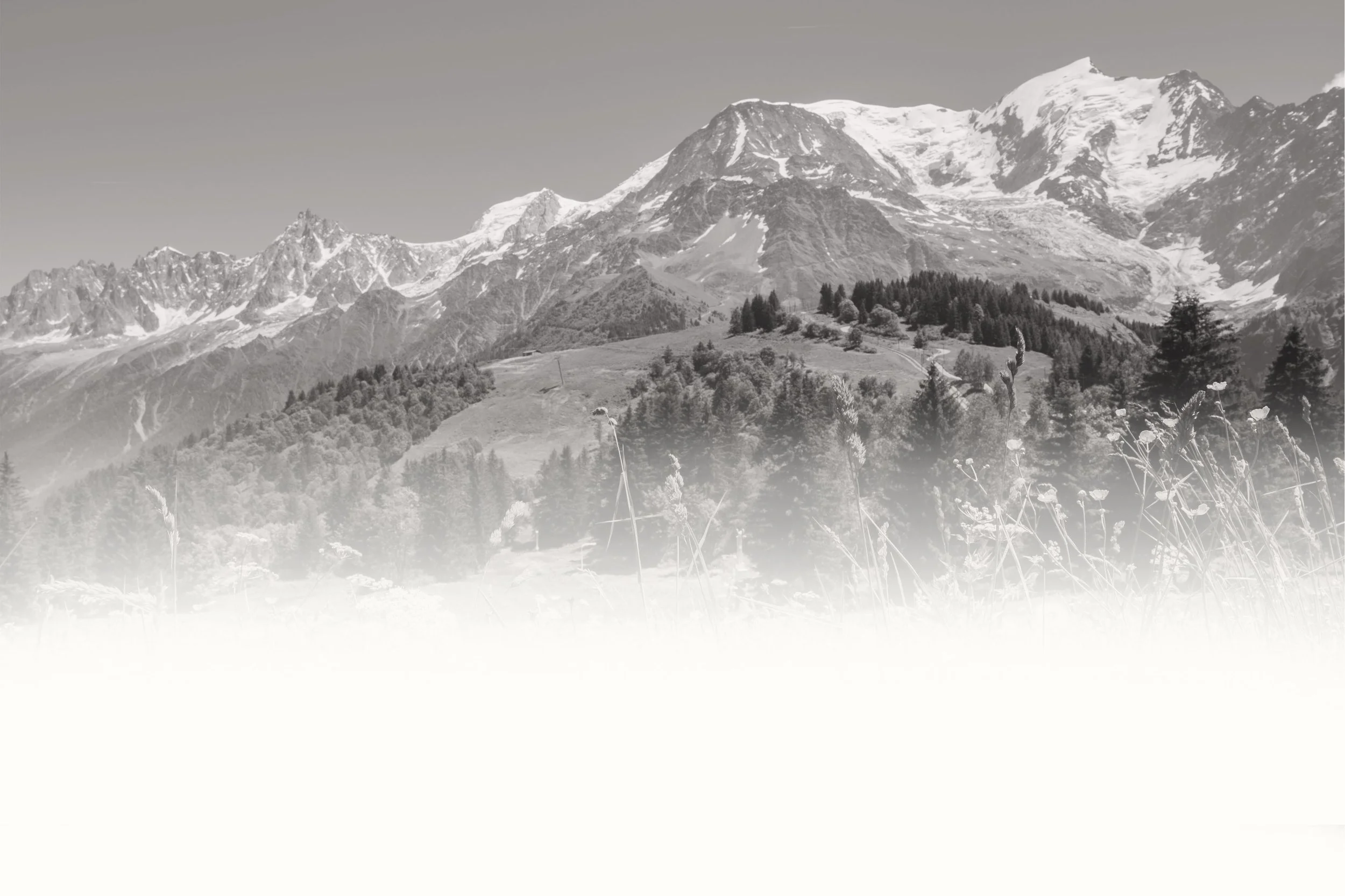 alps.jpg