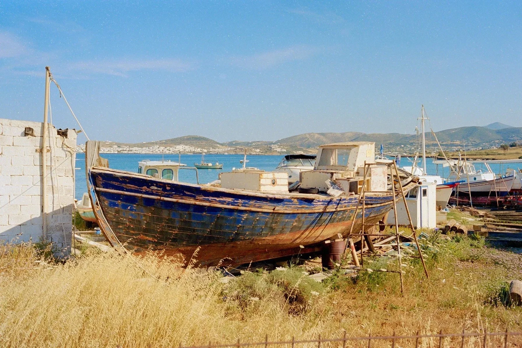 Kodak+250D-0554.jpg