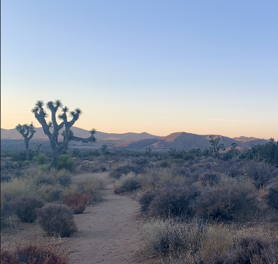 Where Enjoyment Lies