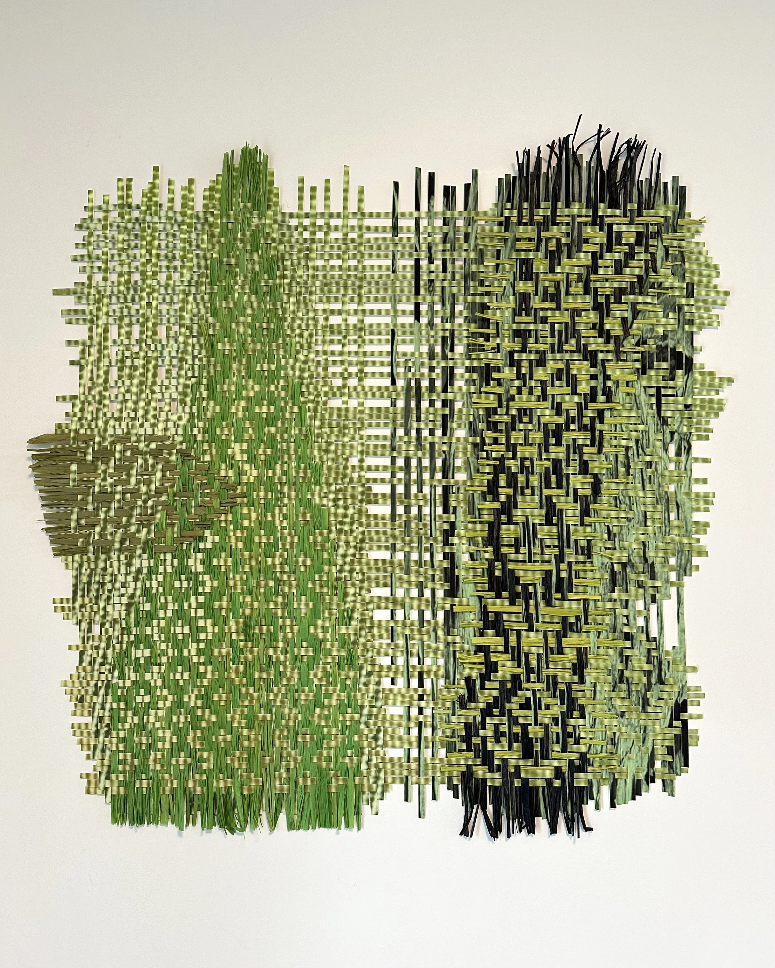 EVOLVING IDENTITY II