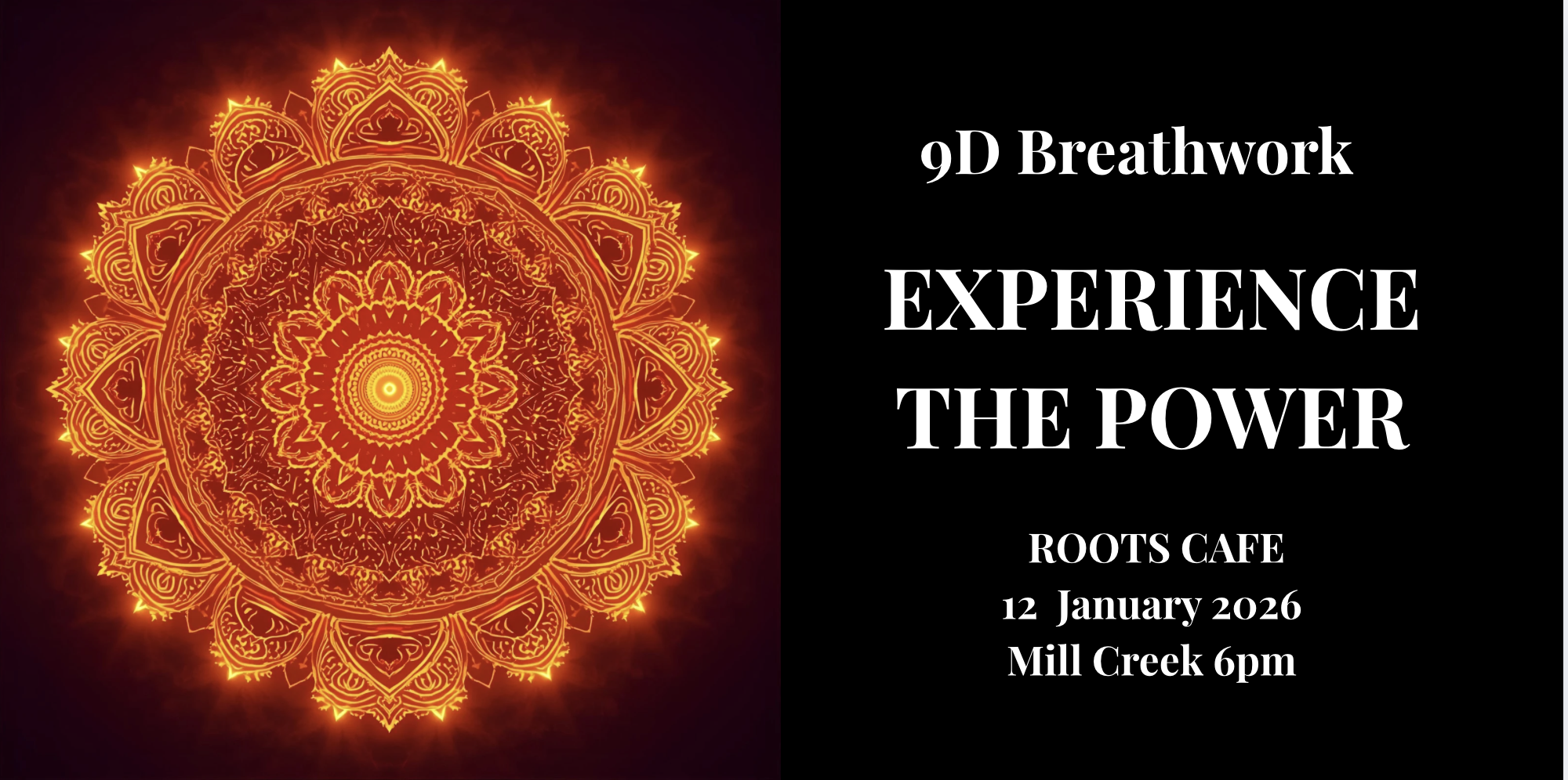 ROOTS CAFE: READY, RESET, GO!