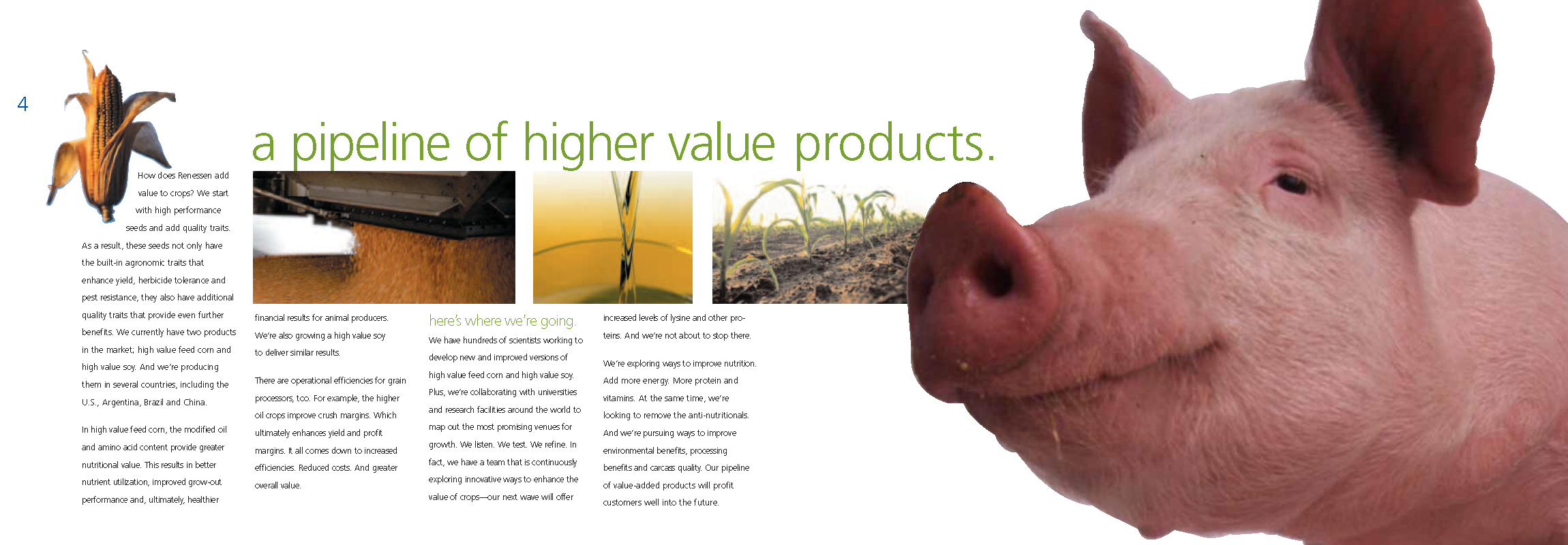 RENESSEN_Brochure_3.png