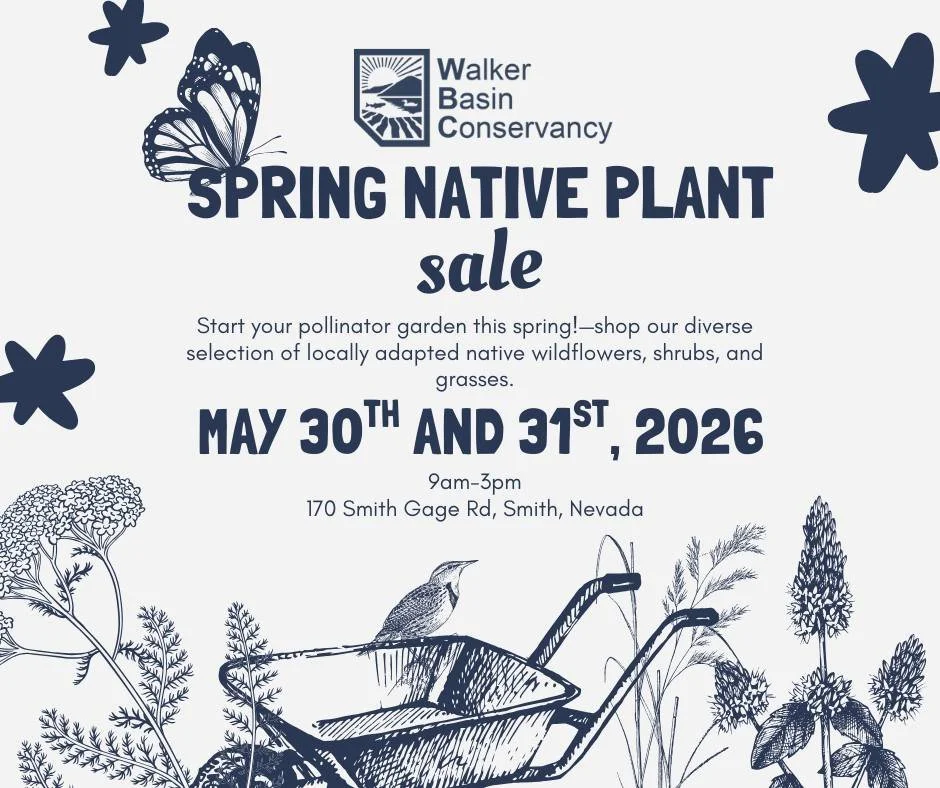 Walker Basin Conservancy Spring Plant Sale