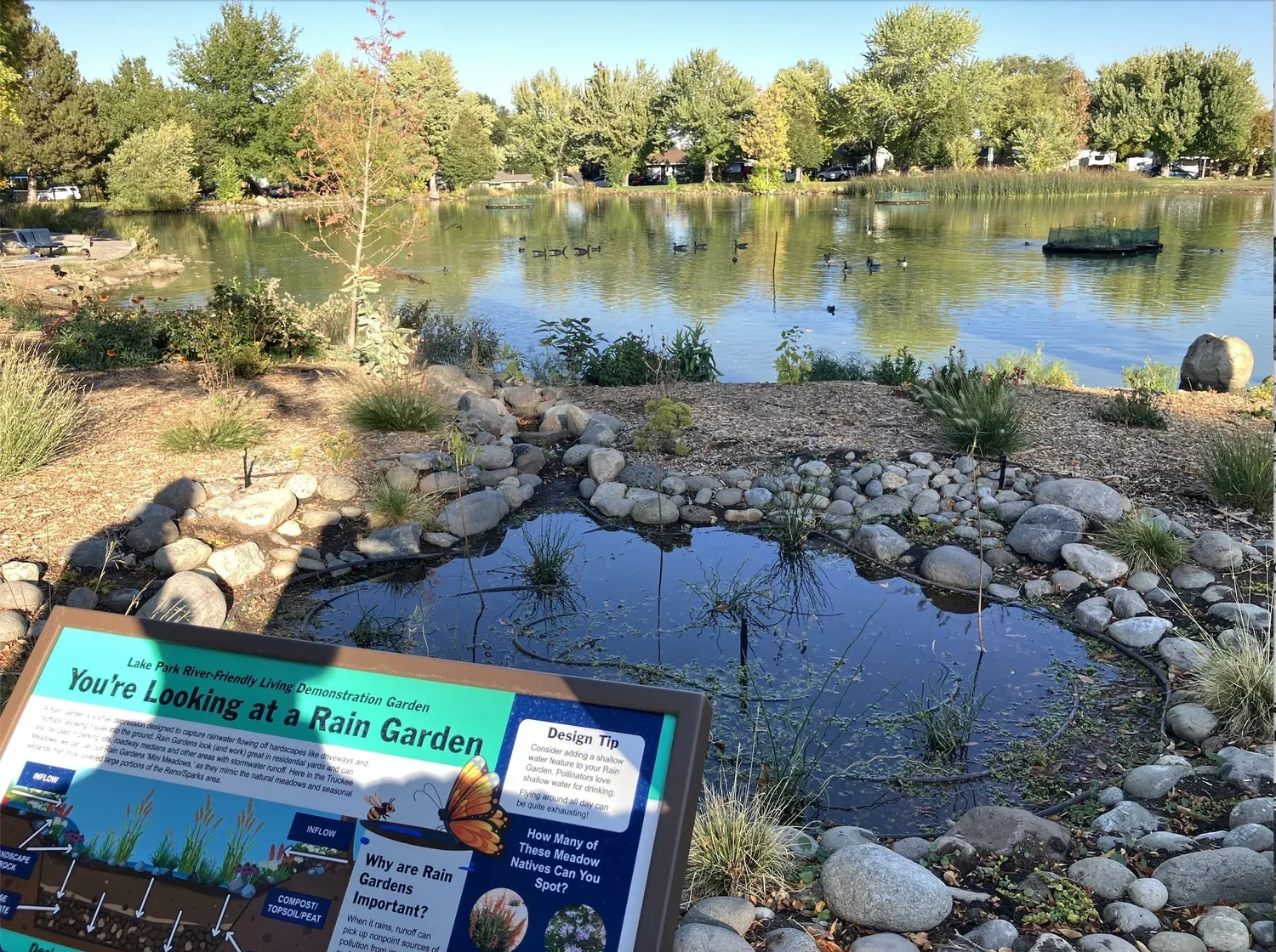 Lake Park Plant Walk