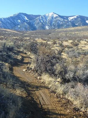 Field Trip, James Lee Park - Indian Hill 