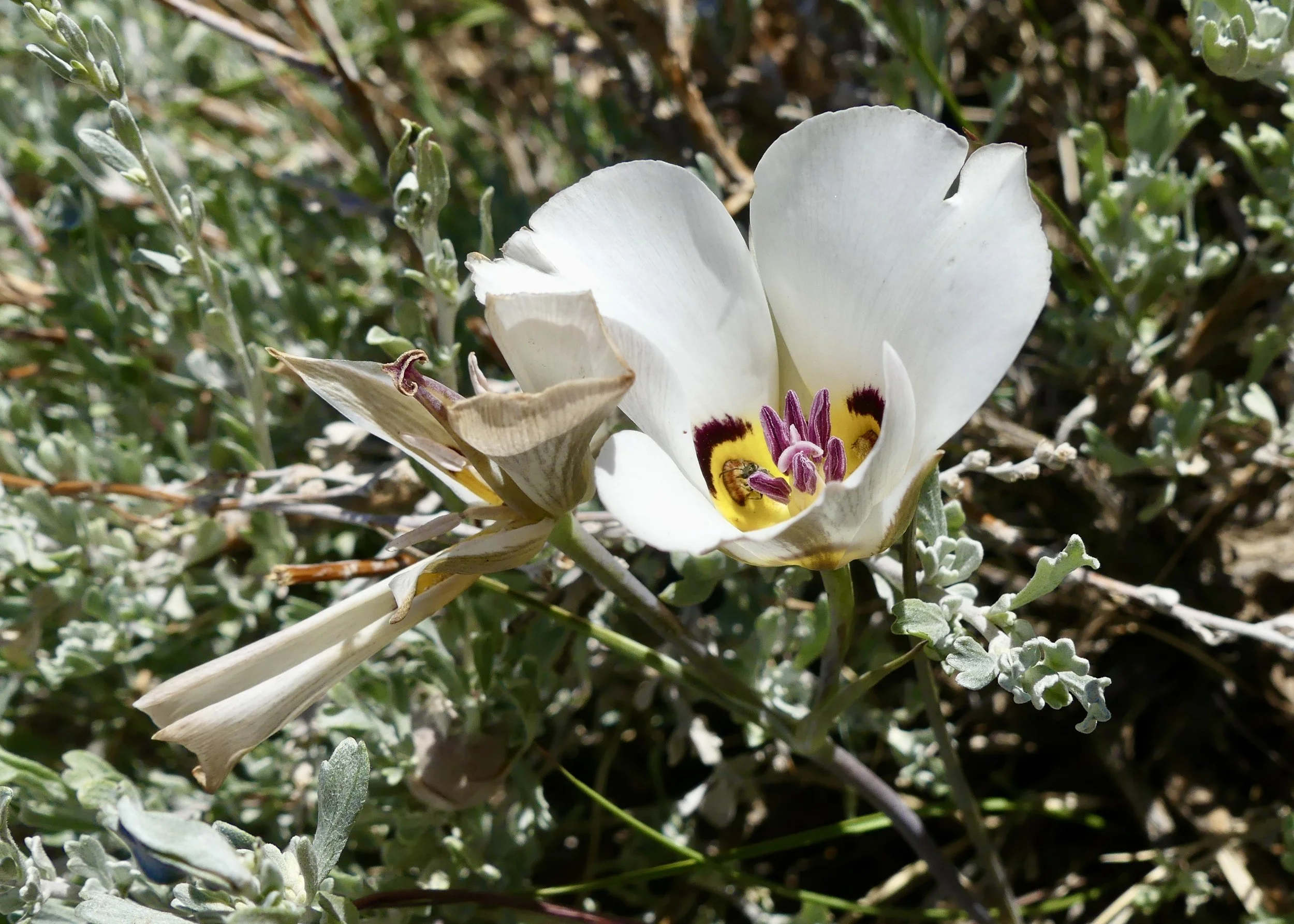 Field Trip, No Name Trail!
