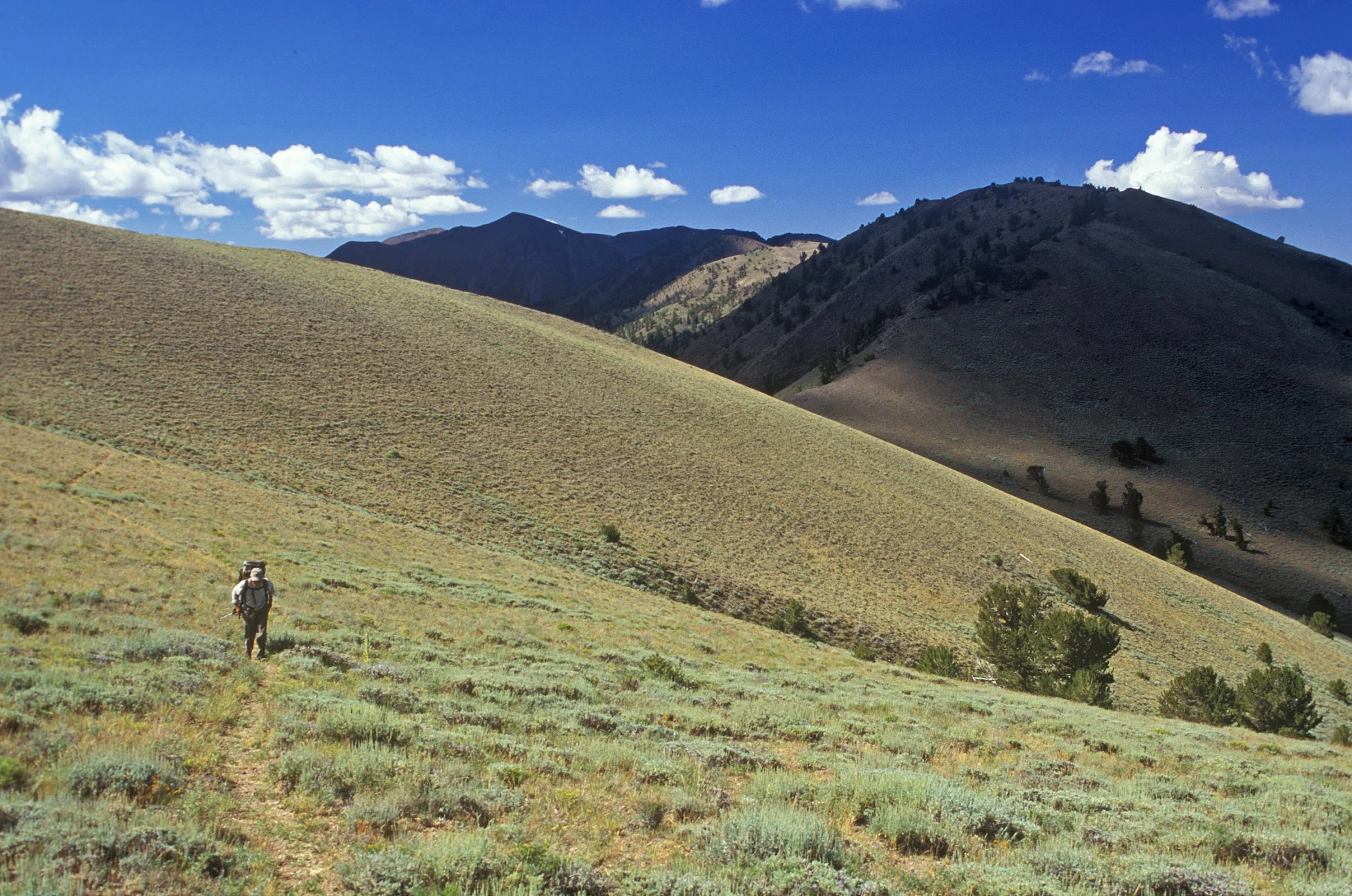 Overnight Field Trip