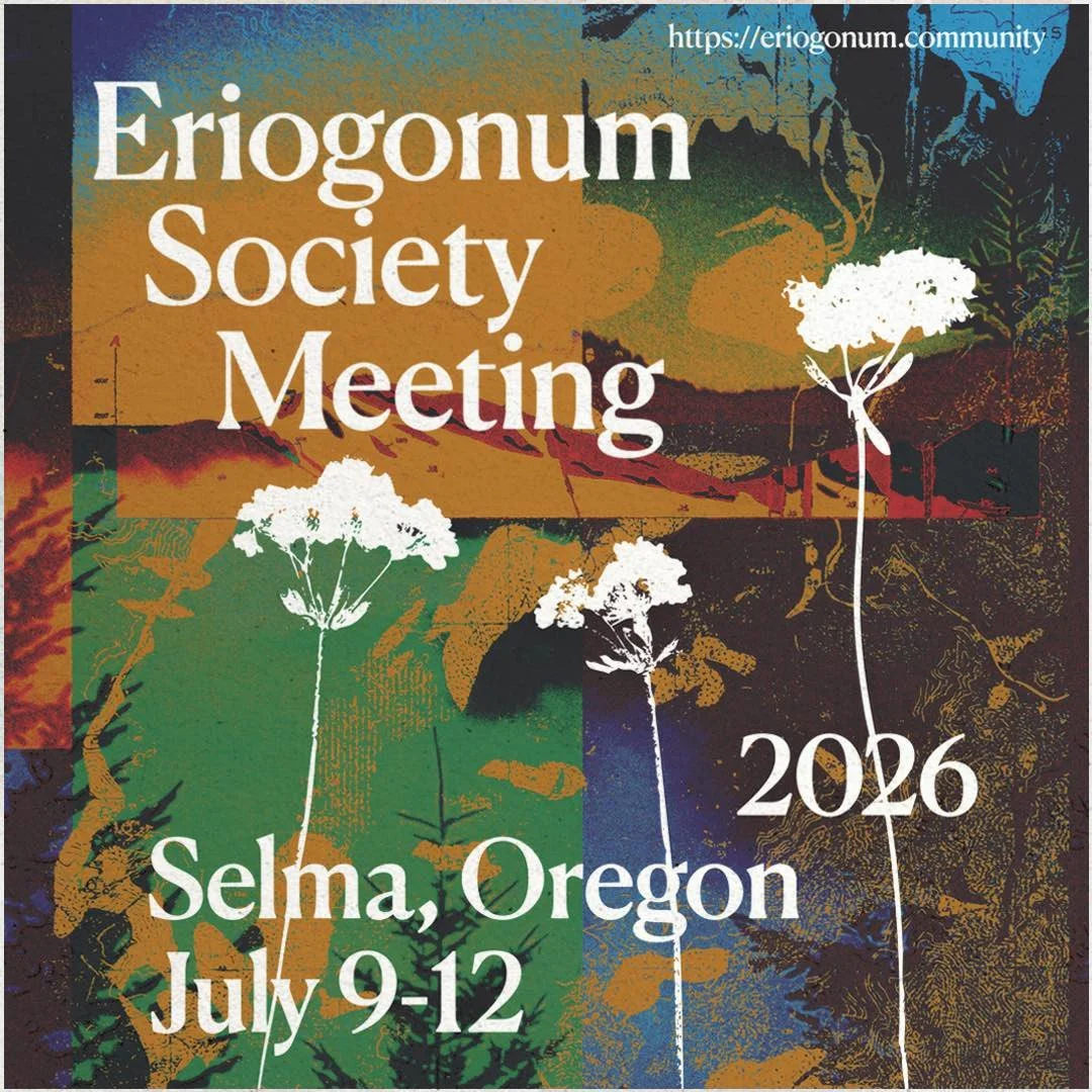 Eriogonum Society Meeting