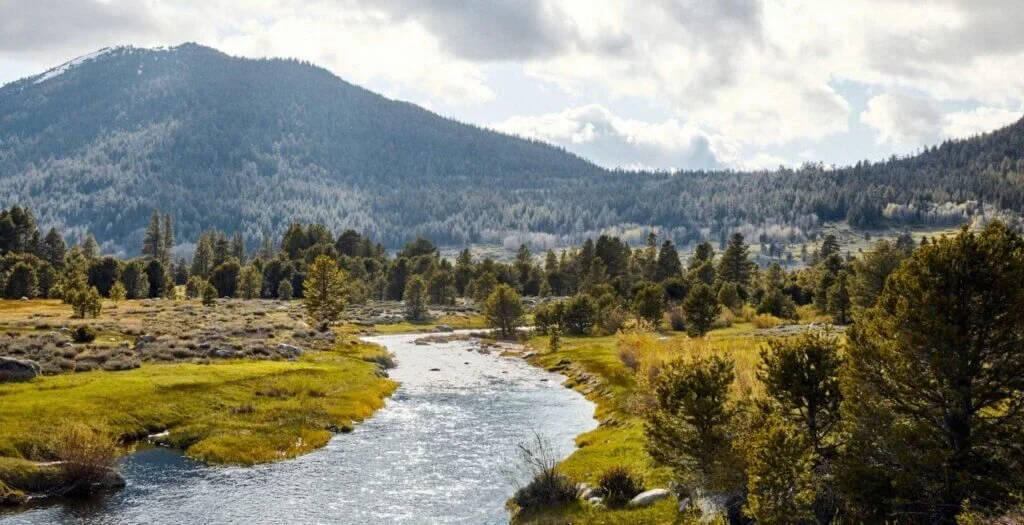 Field Trip, Hope Valley / Upper Carson River