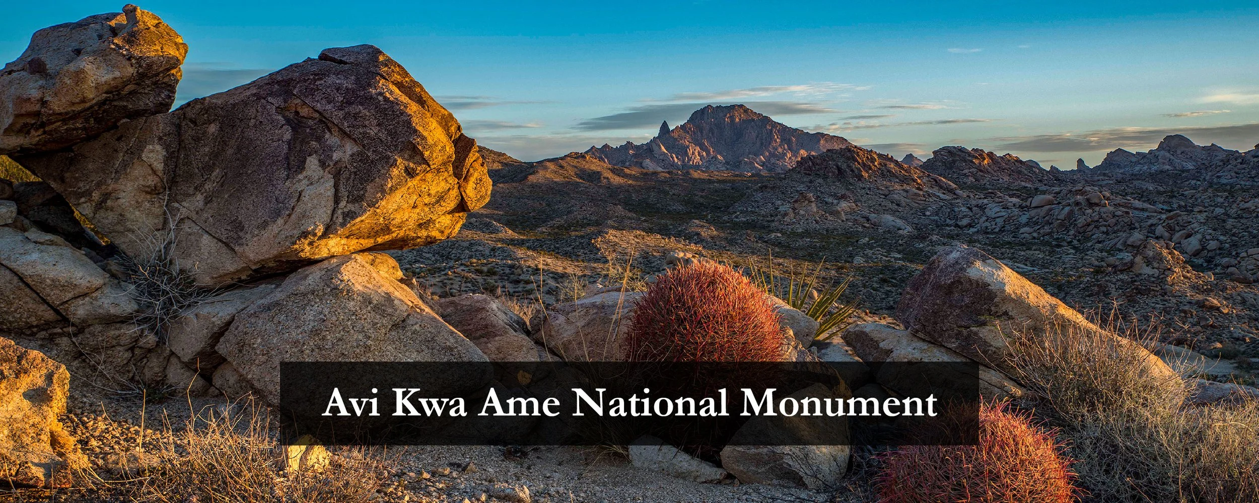 Guided Hike in in Avi Kwa Ame National Monument