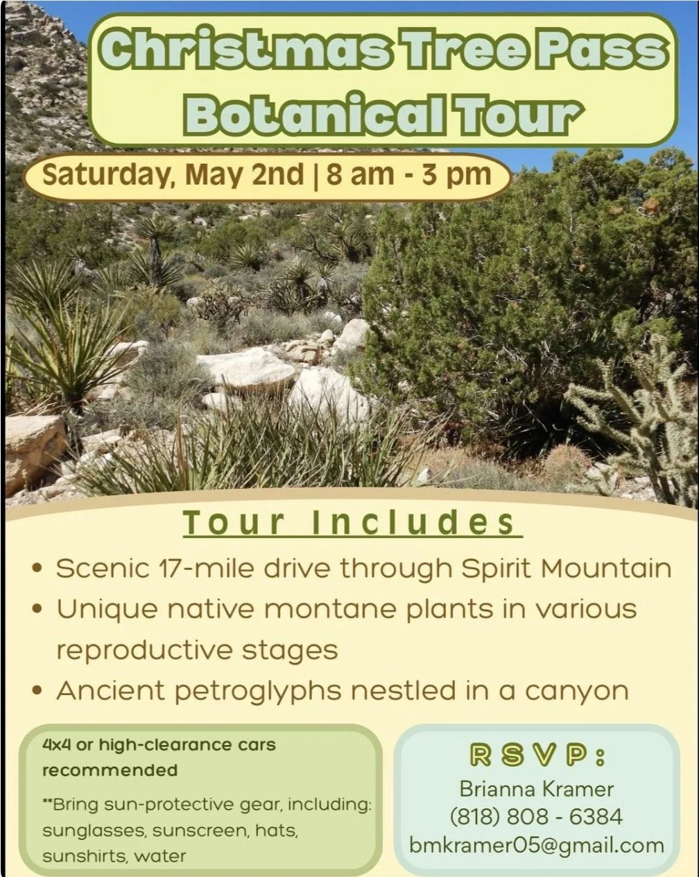 Christmas Tree Pass Botanical Tour