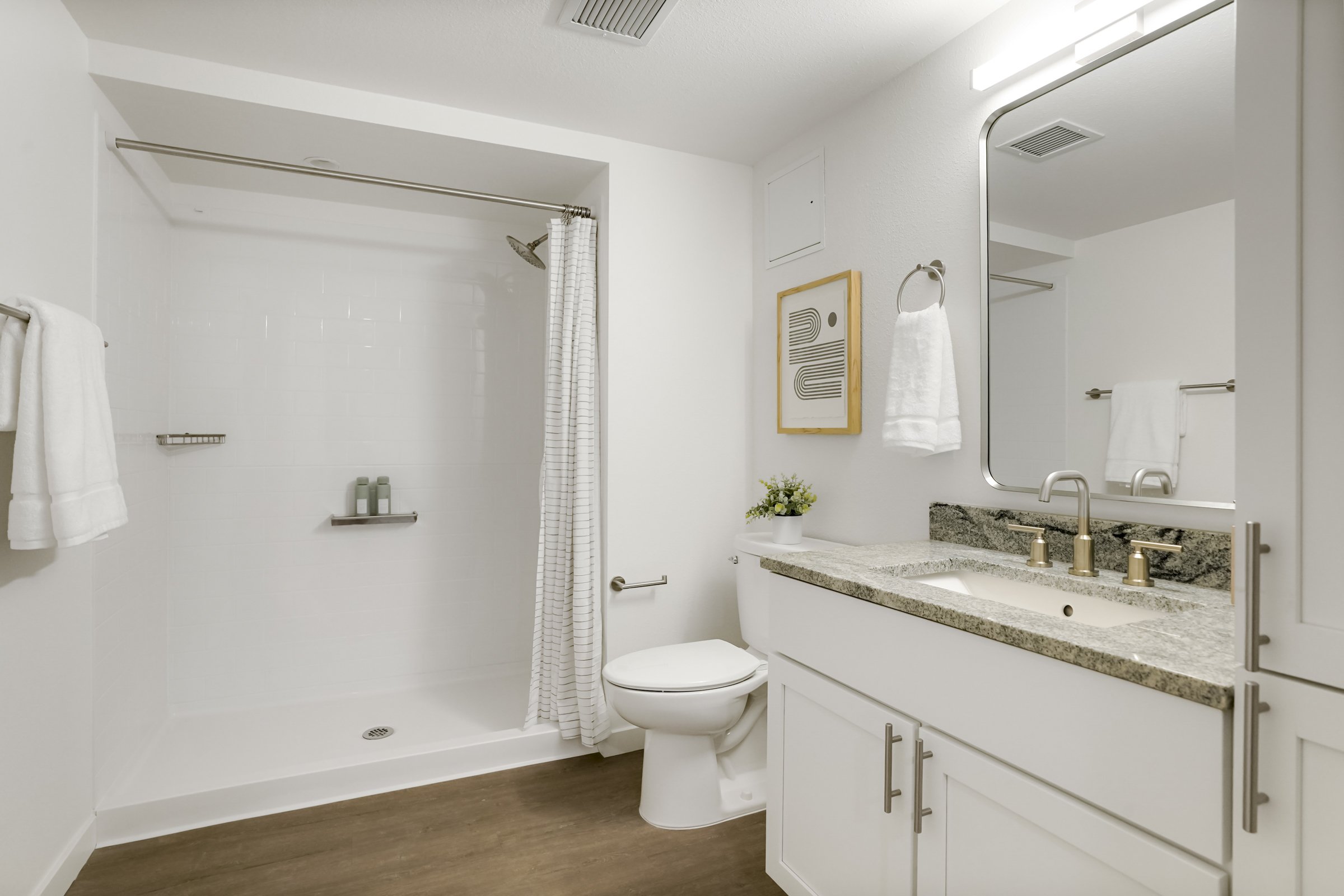 Golden West Apt 226-11.jpg