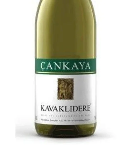 cankaya-800x1000.jpg