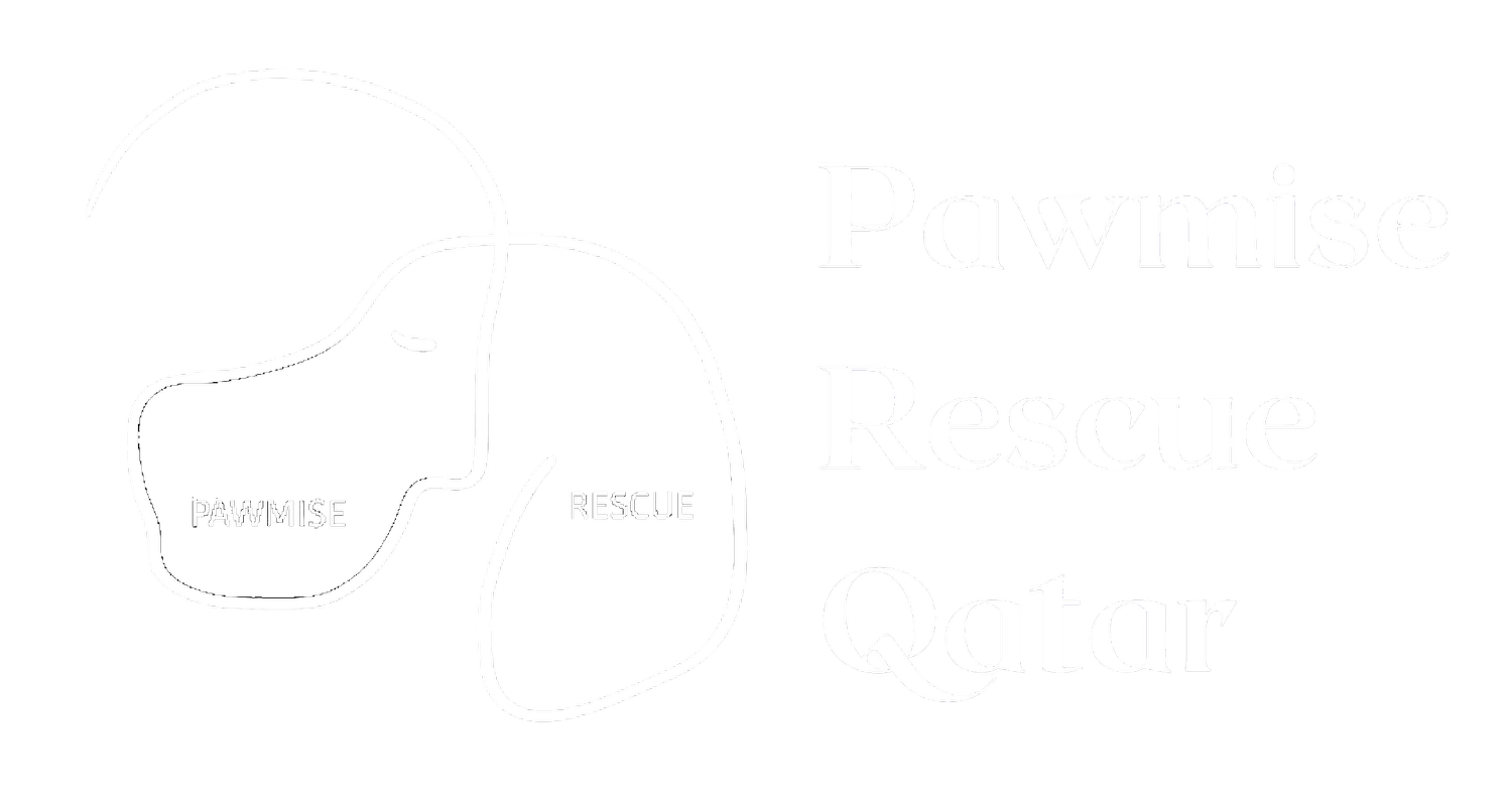Pawmise Rescue Qatar