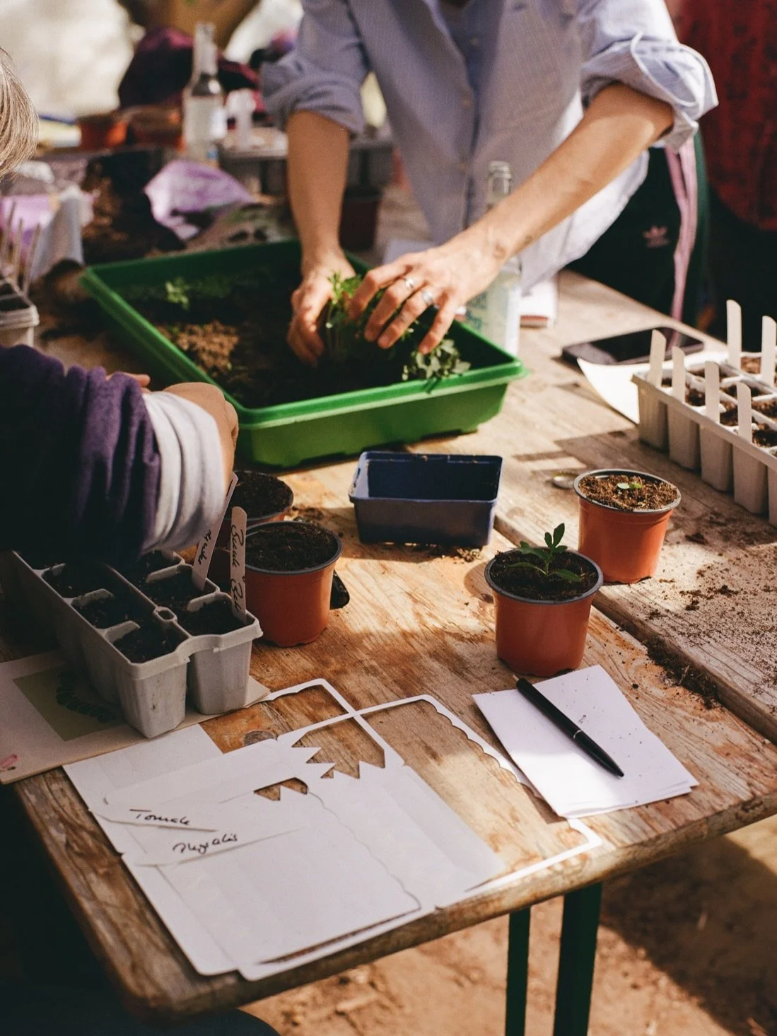 sowing &amp; seedlings, april 2026. ●
some film photos from alina's sowing &amp; seedlings workshop in april at @sannmann_gaertnerei &hearts;️ i've almost become a regular there lately as i am photographing and filming a lot for the farm and organic 